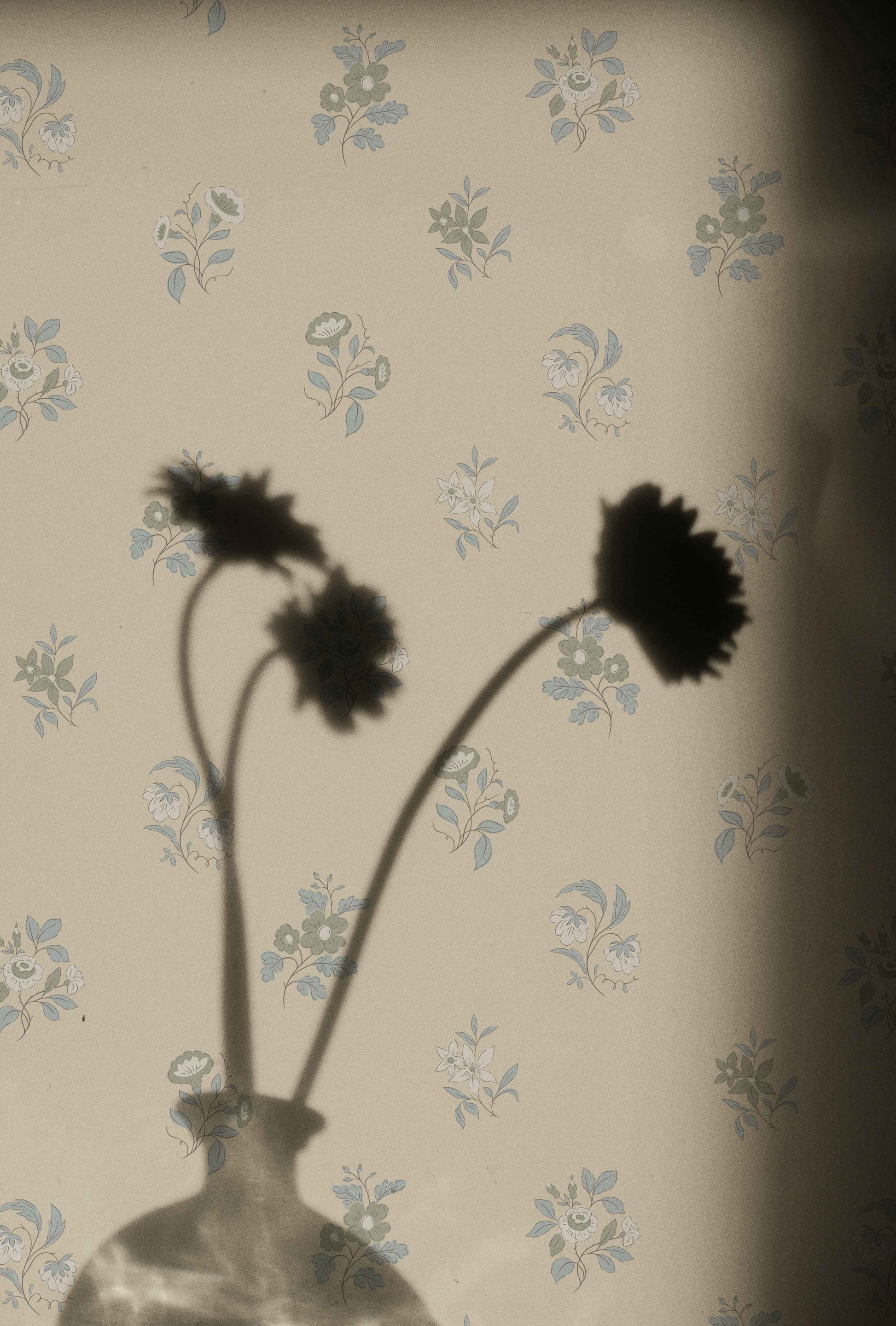 Ashthorn Wallpaper Pale Oak