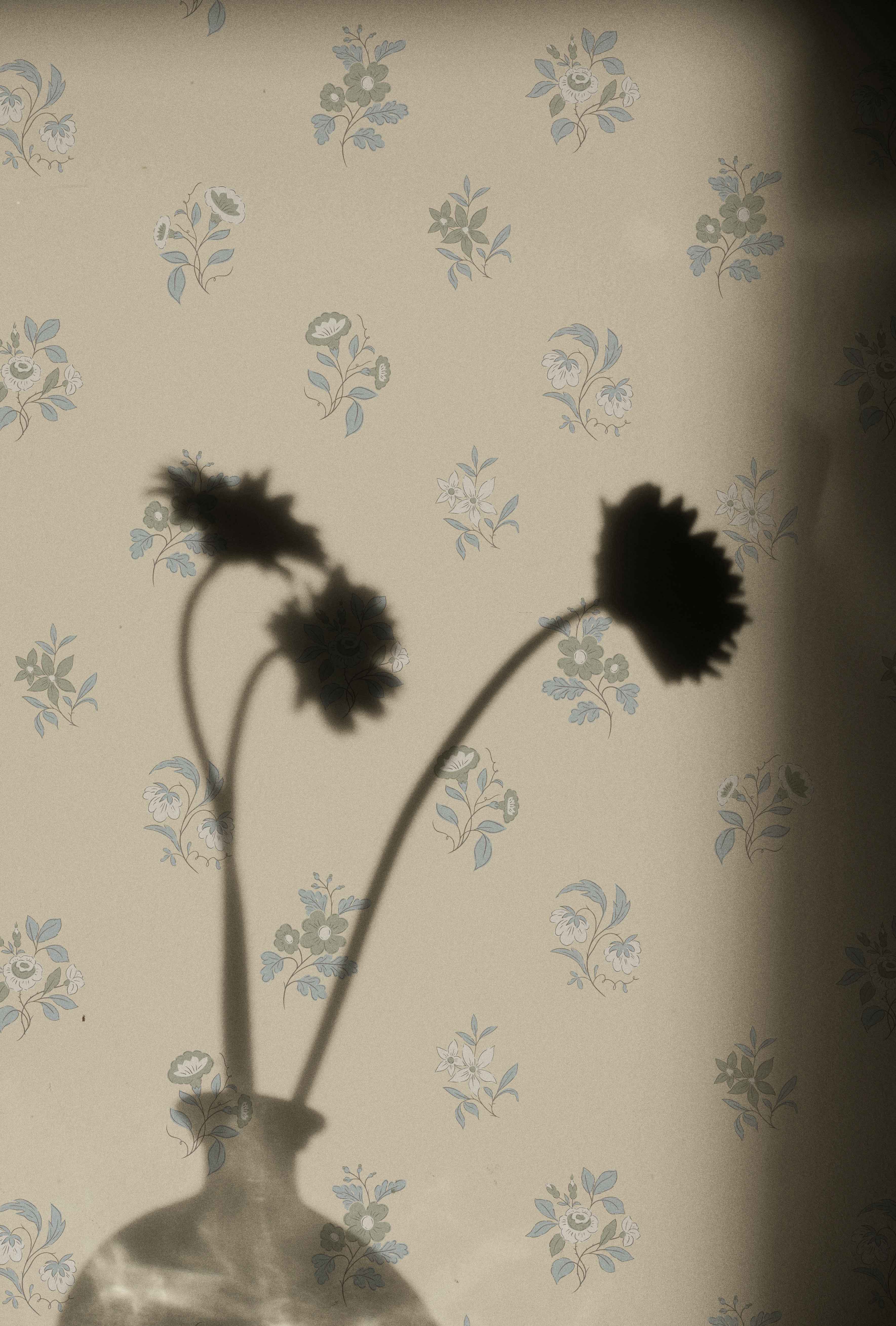 Ashthorn Wallpaper Pale Oak