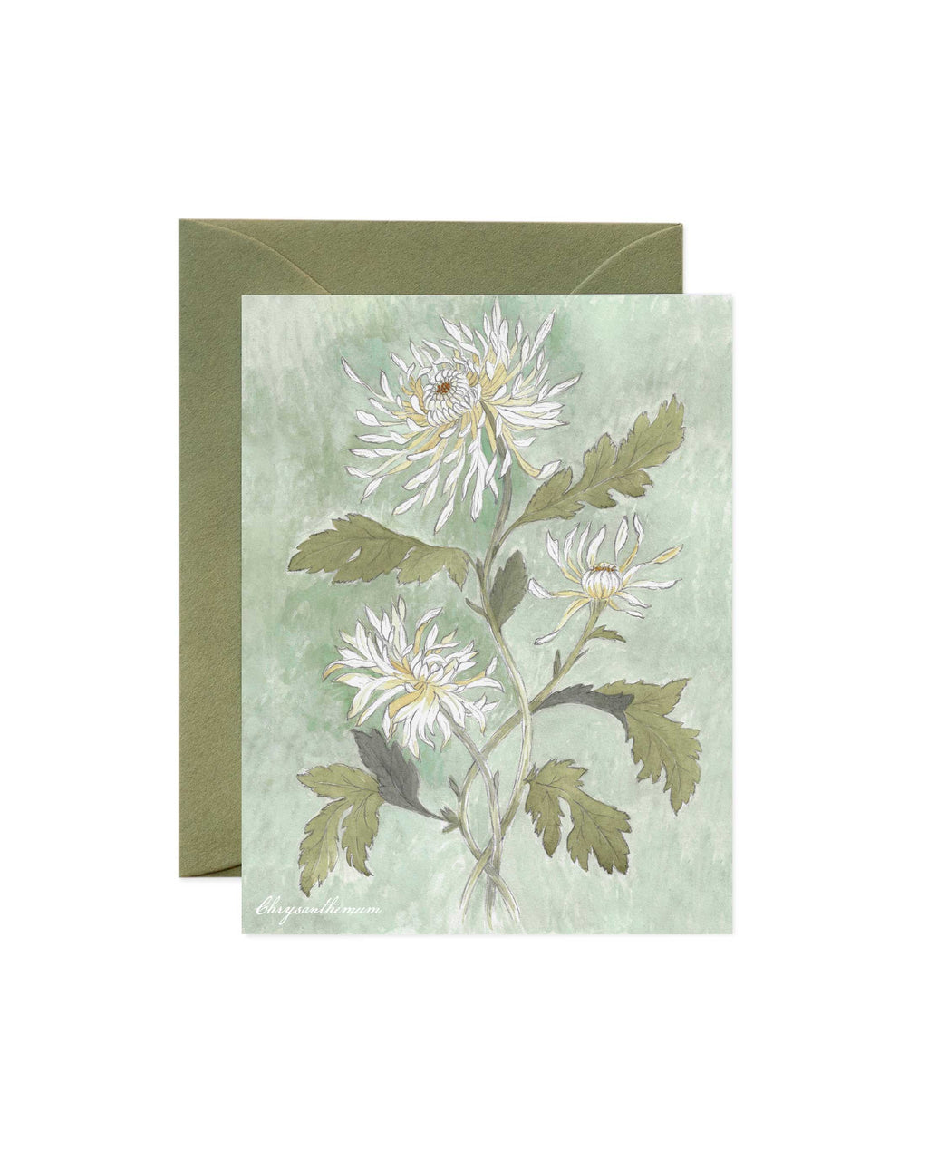 Danelys Sidron Chrysanthemum greeting card – November birth flower watercolor design with green envelope, 3.5x5 botanical stationery printed in the U.S. through Printswell Fulfillment, from The Conservatory Print Club.