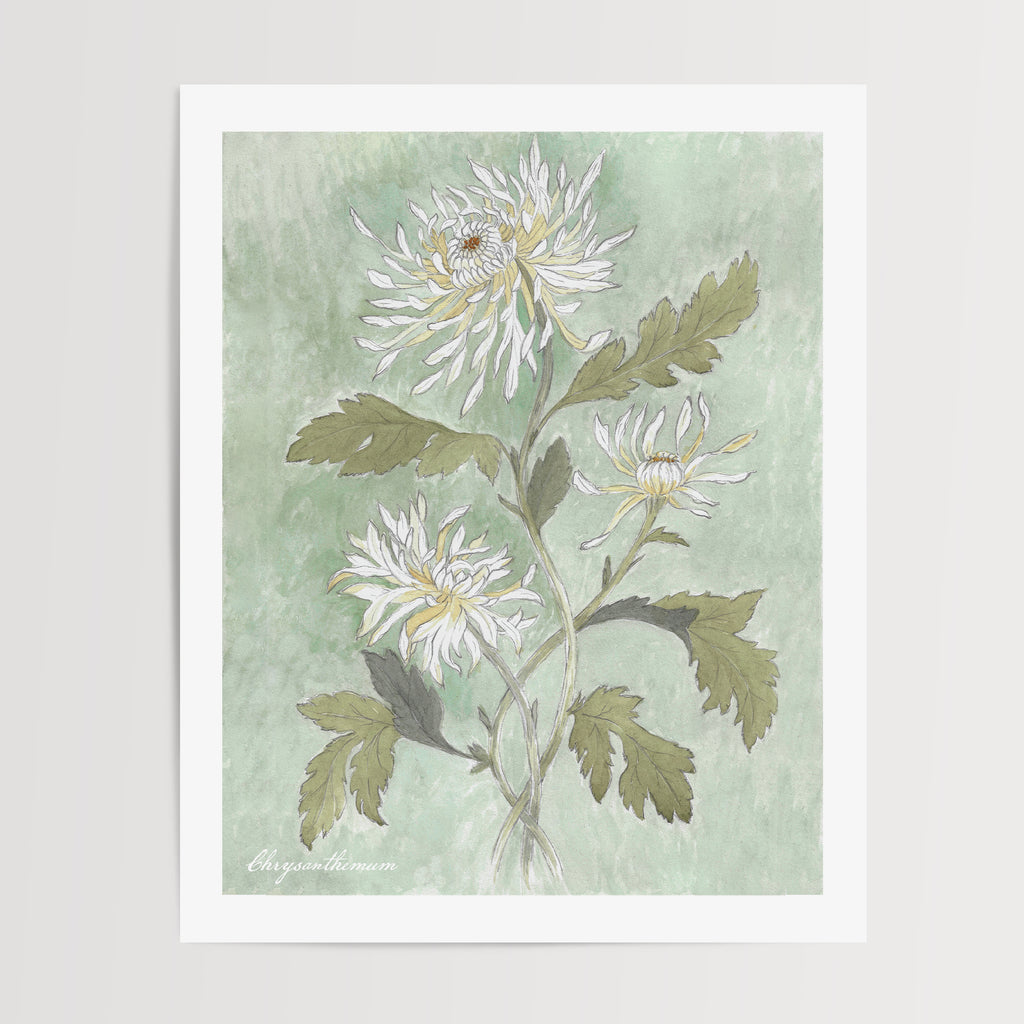 Danelys Sidron Chrysanthemum watercolor print – November birth flower botanical wall art, hand-painted floral illustration from The Conservatory Print Club archive, unframed 8x10 fine art print designed in Spain and printed in the U.S.