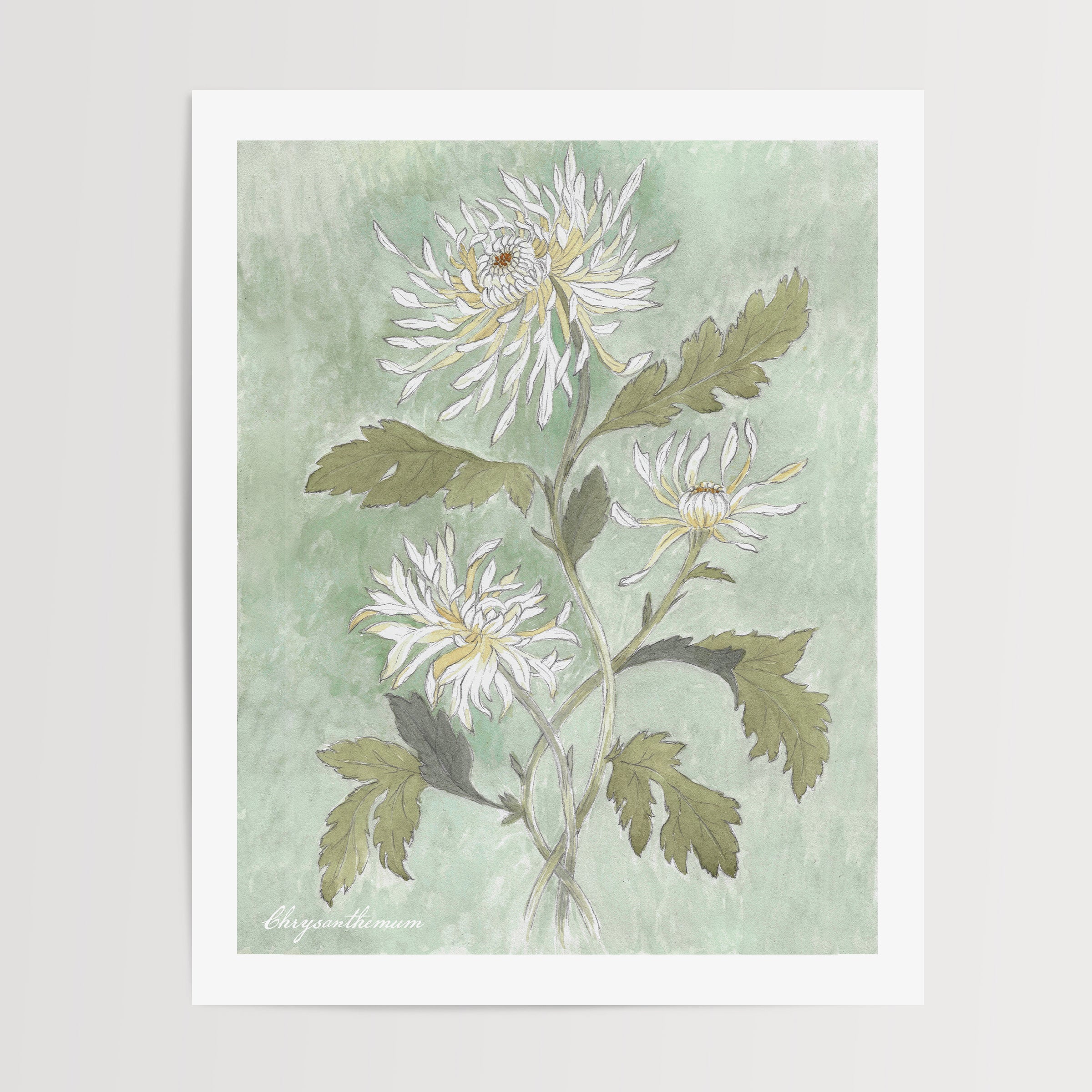 Danelys Sidron Chrysanthemum watercolor print – November birth flower botanical wall art, hand-painted floral illustration from The Conservatory Print Club archive, unframed 8x10 fine art print designed in Spain and printed in the U.S.