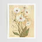 Danelys Sidron Cosmos watercolor print – October birth flower botanical art, archived edition from The Conservatory Print Club, unframed 8x10 wall art print.
