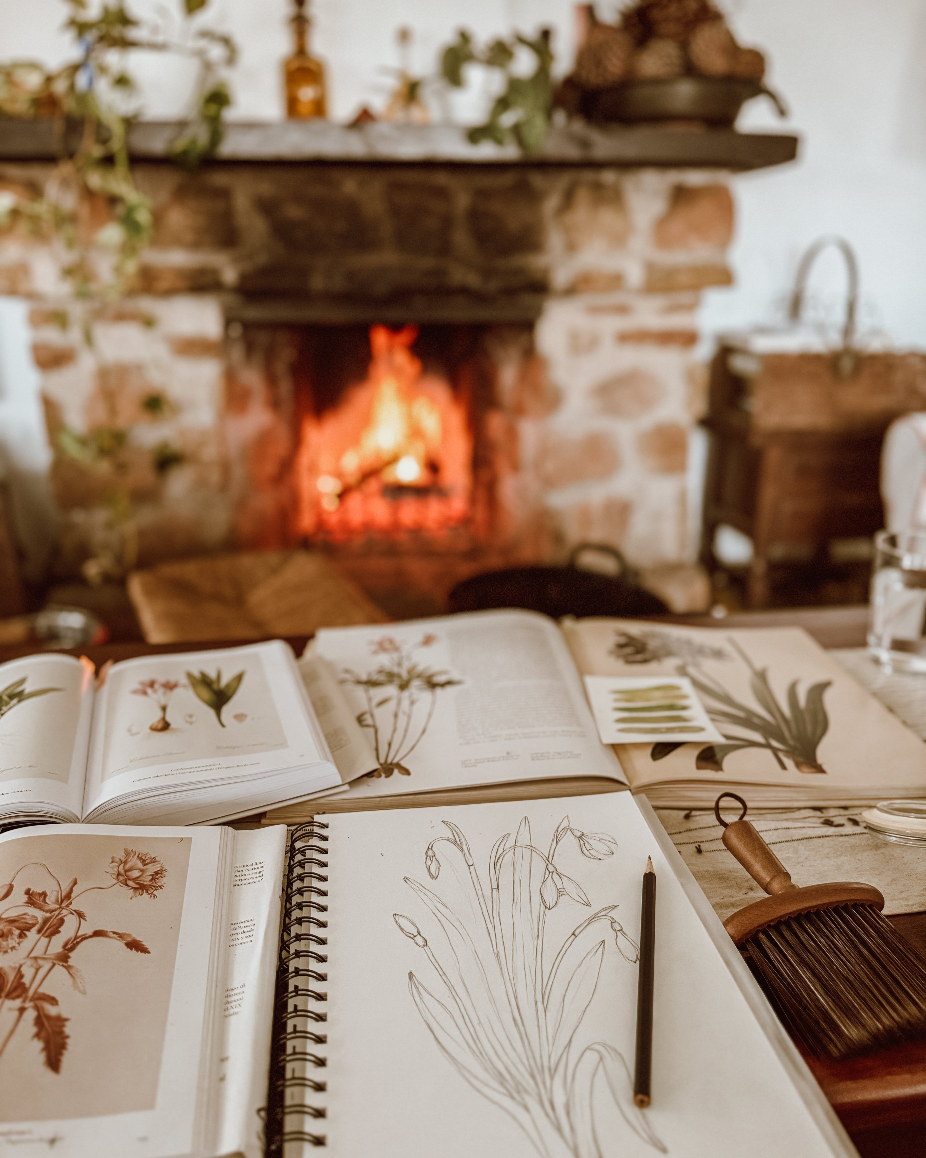 A sketch of the Snowdrop flower in a spiral sketchbook surrounded by botanical reference books, set on a table near a glowing fireplace. Behind-the-scenes look at the January print for The Conservatory Print Club.