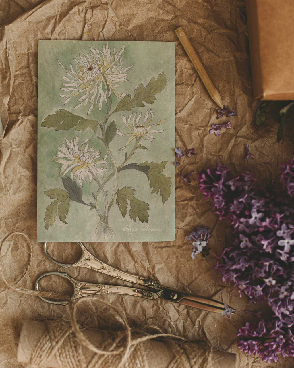 Danelys Sidron Chrysanthemum art card – November birth flower watercolor design photographed on brown paper with scissors and lilac petals, 3.5x5 botanical stationery from The Conservatory Print Club.