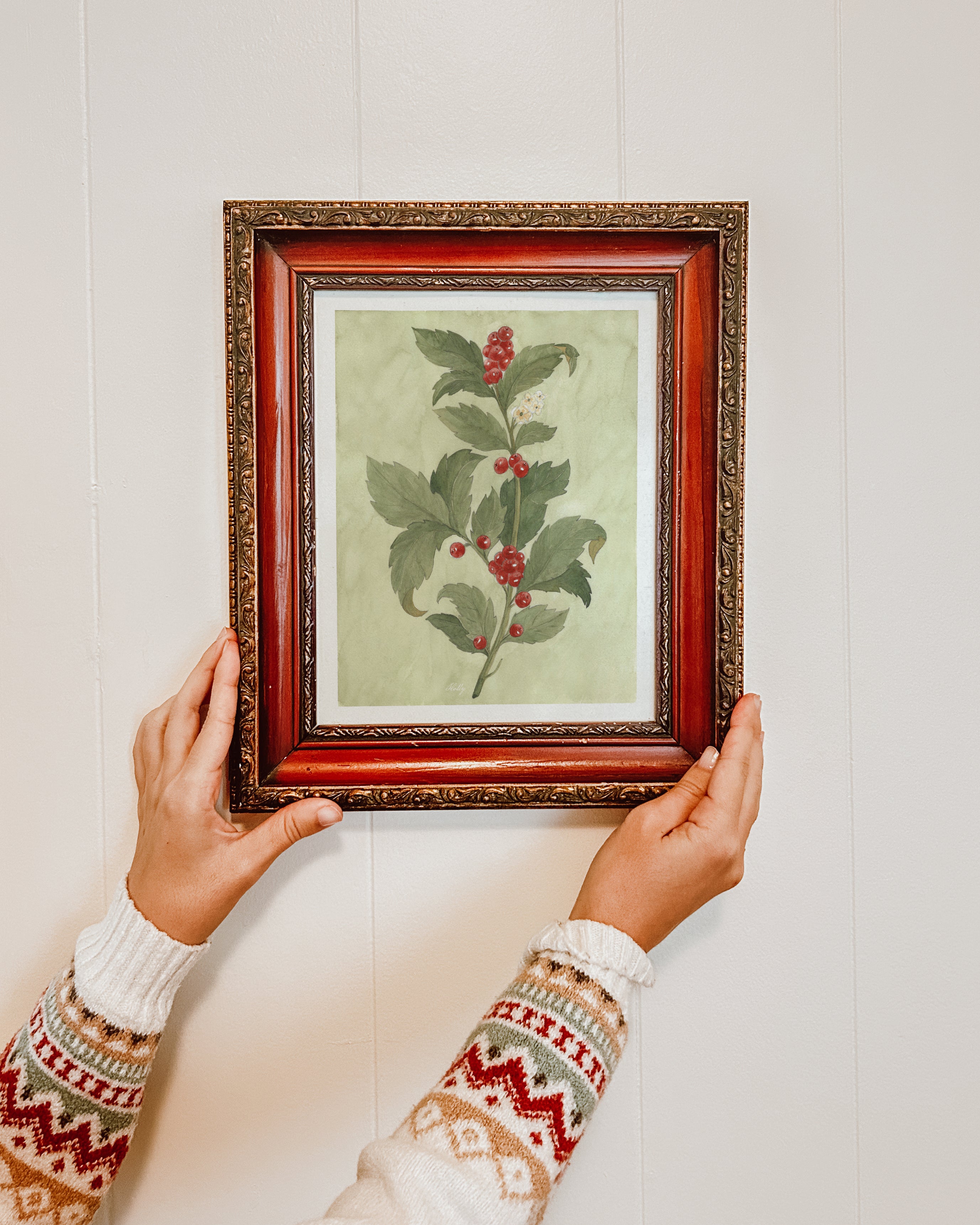 Hands holding a framed holly botanical art print against a neutral wall, showing the artwork’s scale and frame detail.