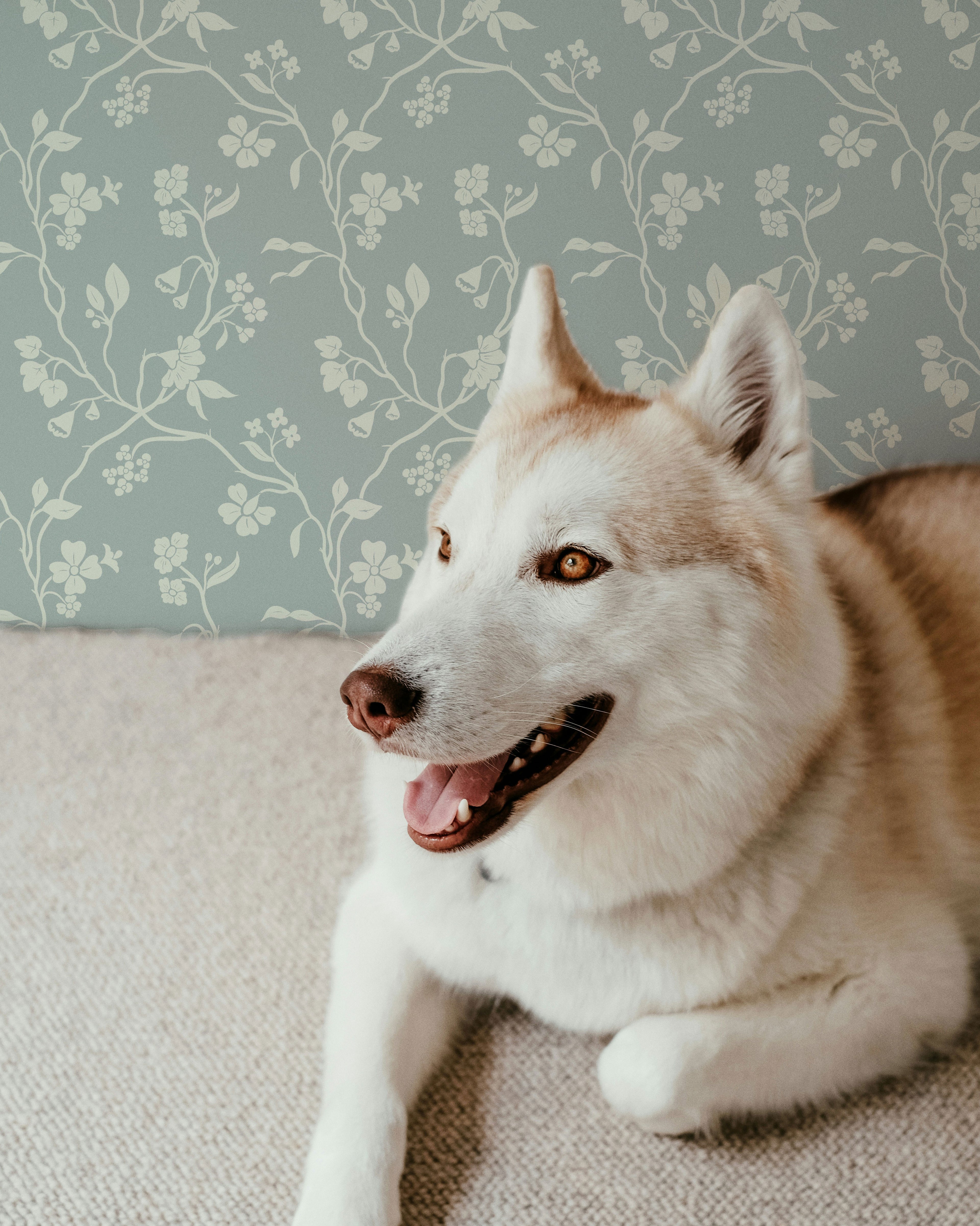 Lunaria Vine Wallpaper in Silver Mist