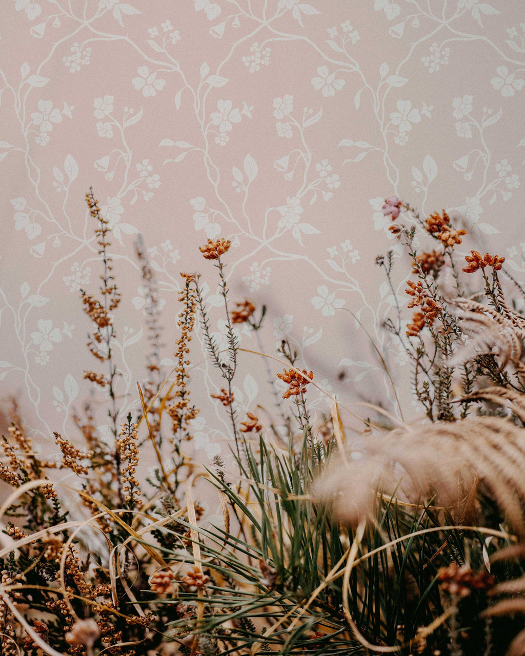 Lunaria Vine Wallpaper in Rose Bisque