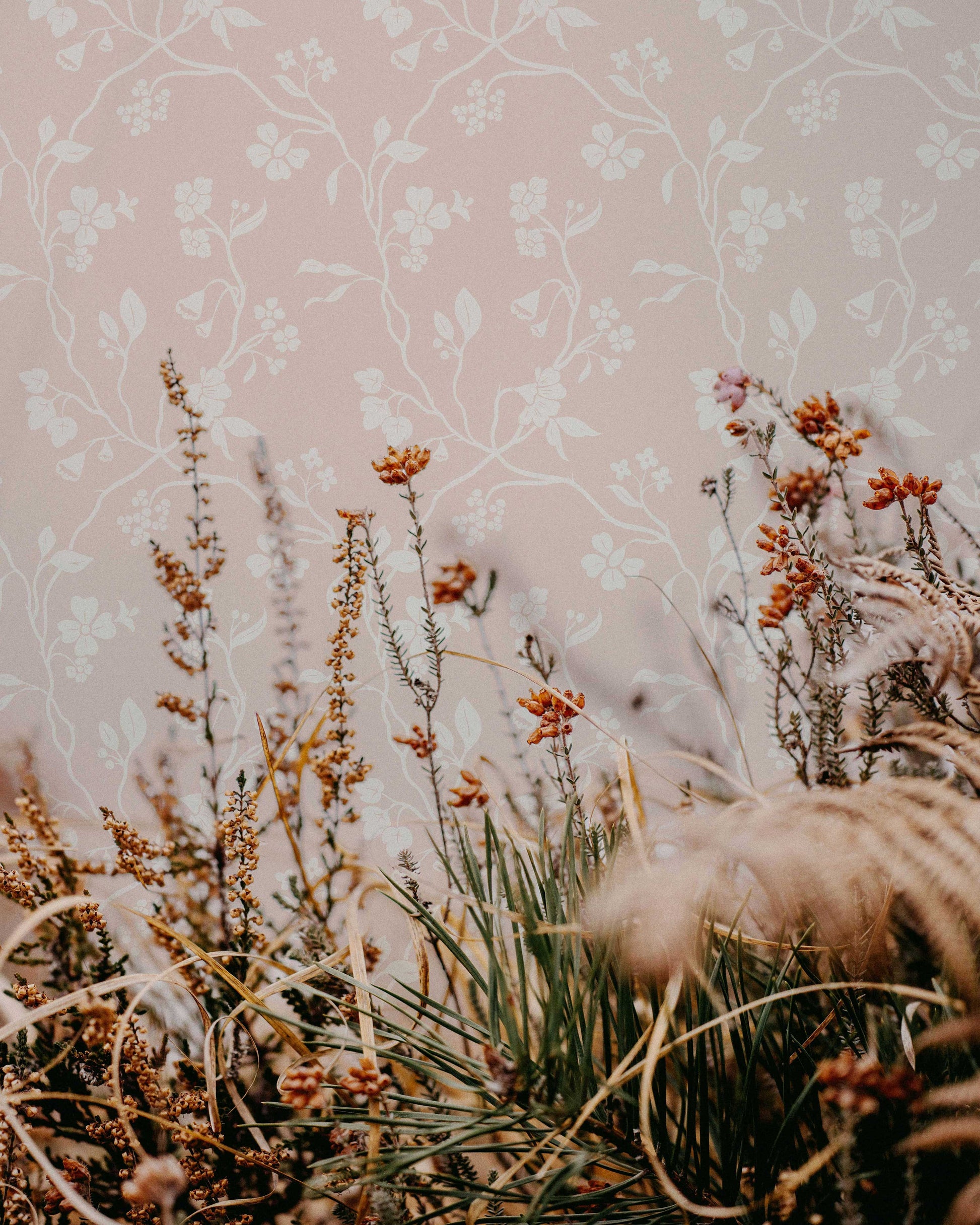 Lunaria Vine Wallpaper in Rose Bisque
