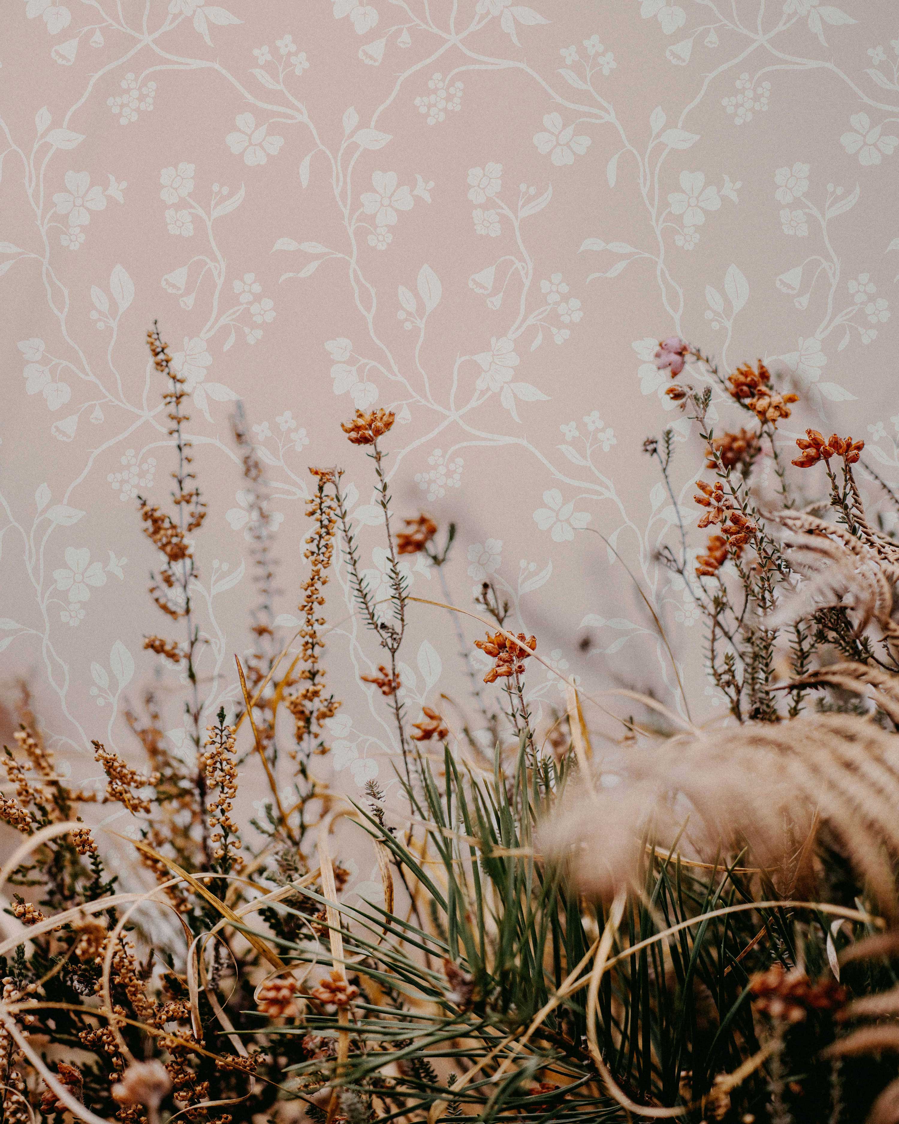 Lunaria Vine Wallpaper in Rose Bisque