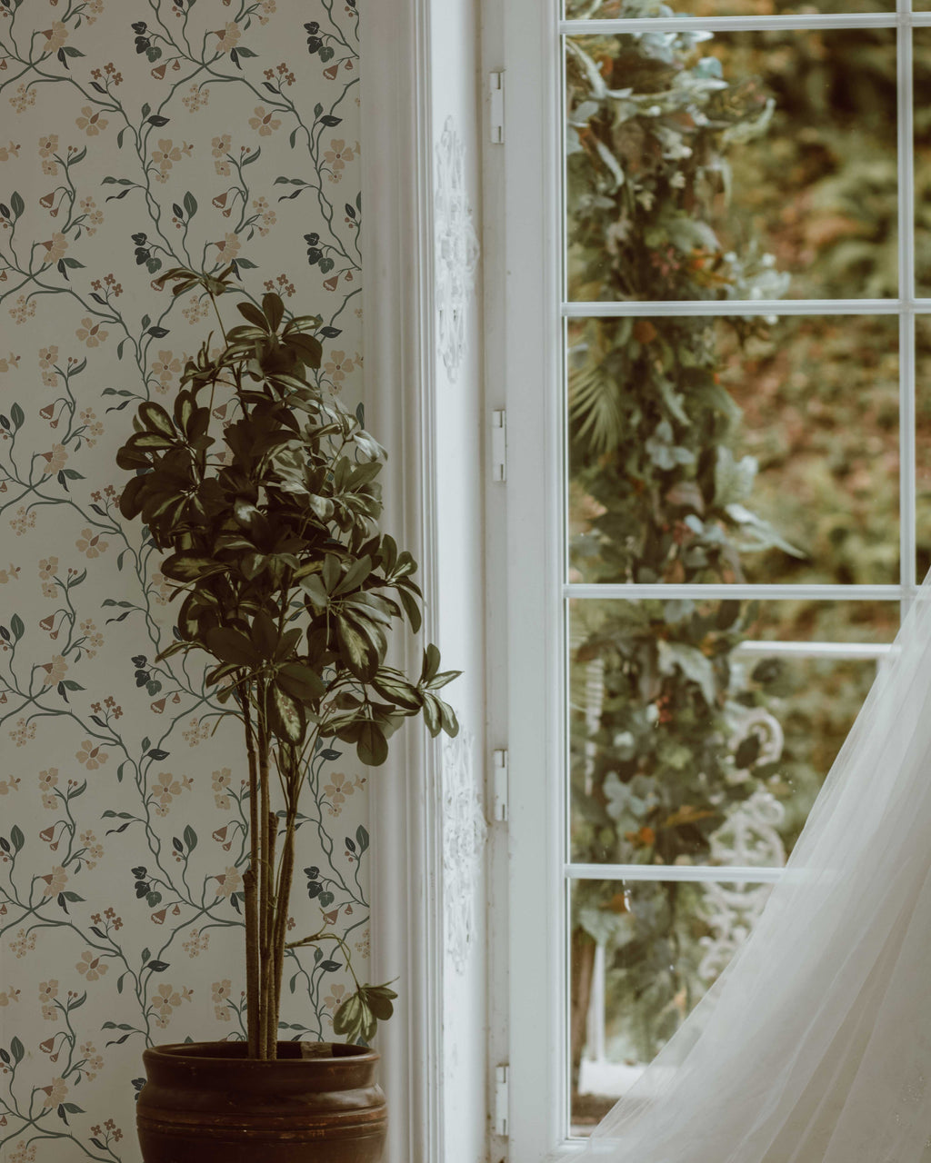 Potted plant next to a window with floral wallpaper