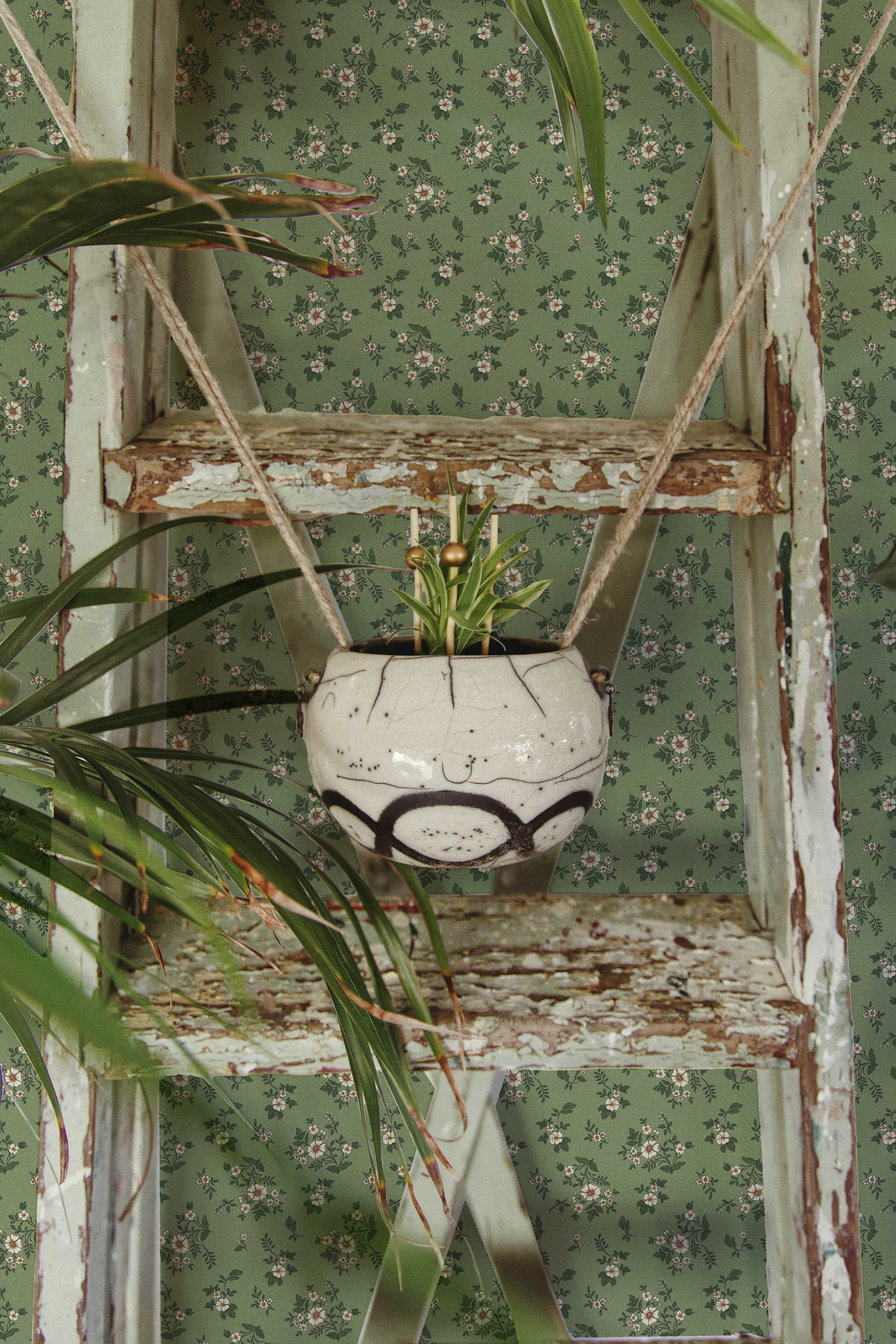 Primrose in Rustic Olive