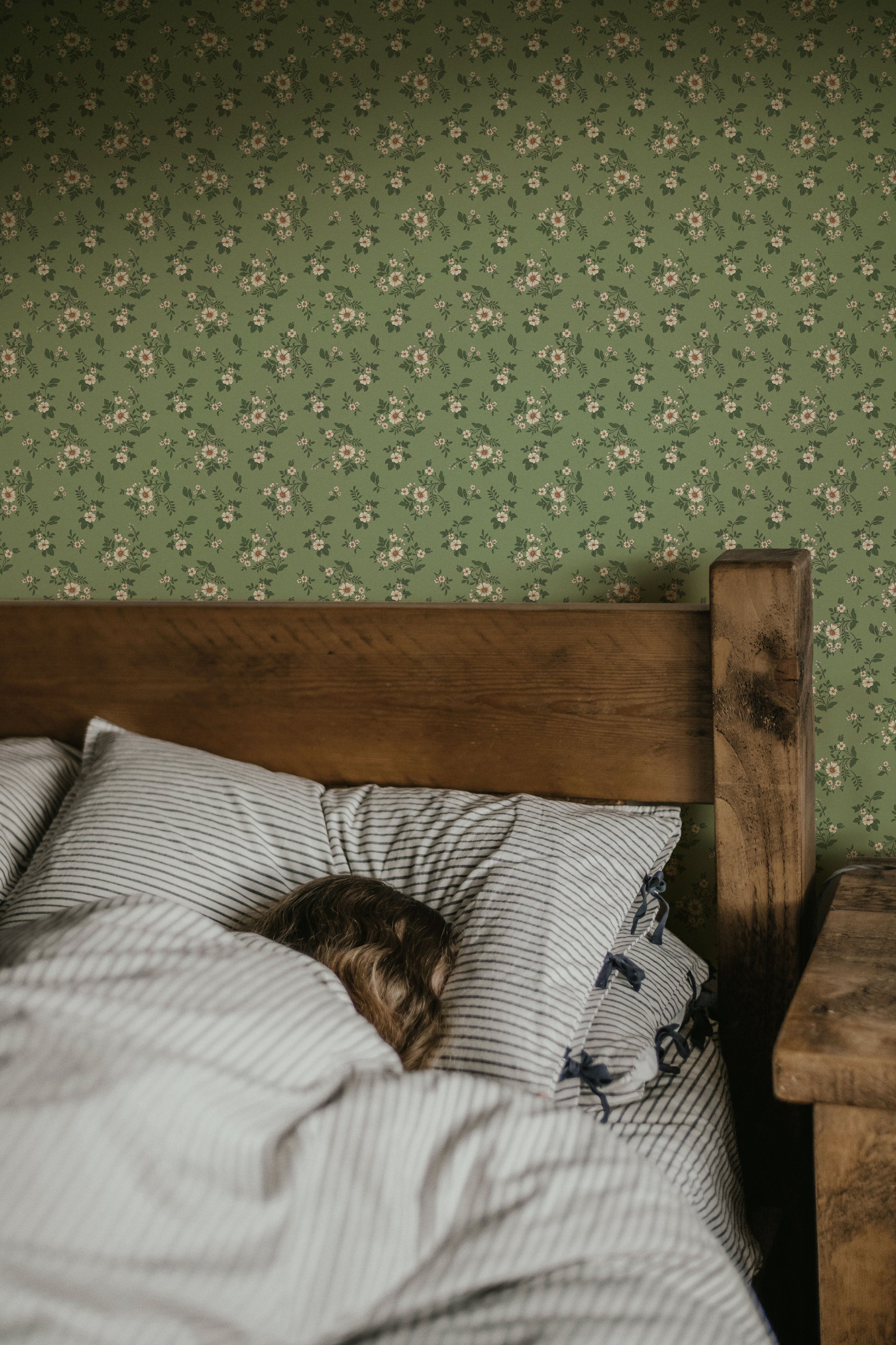 Primrose in Rustic Olive