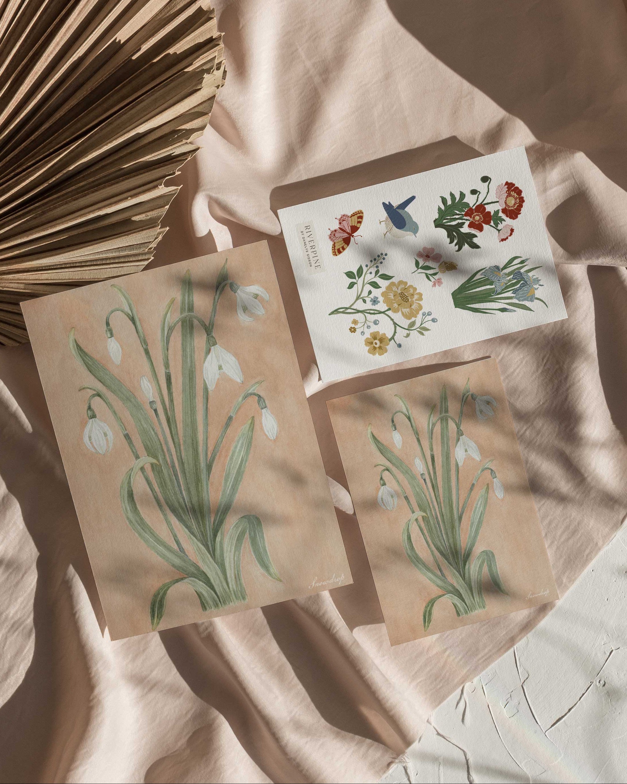 A flatlay of the Snowdrop botanical print in two sizes with a floral postcard sheet, styled on soft fabric with warm afternoon light. January art print for The Conservatory Print Club by Riverpine Studio.