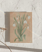 The Snowdrop watercolor art print propped against a textured white surface with a soft rainbow highlight across the paper. January print for The Conservatory Print Club.