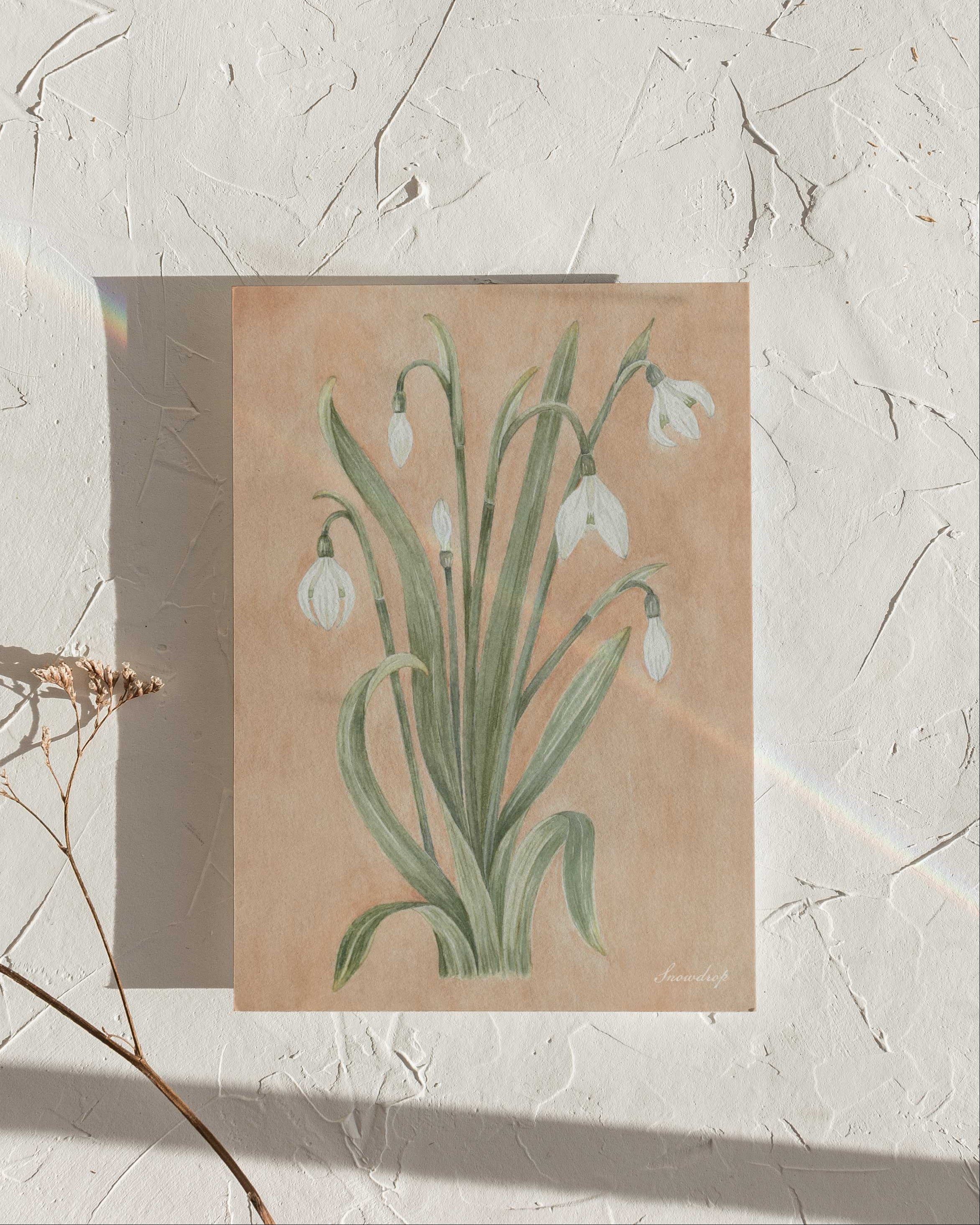 The Snowdrop watercolor art print propped against a textured white surface with a soft rainbow highlight across the paper. January print for The Conservatory Print Club.