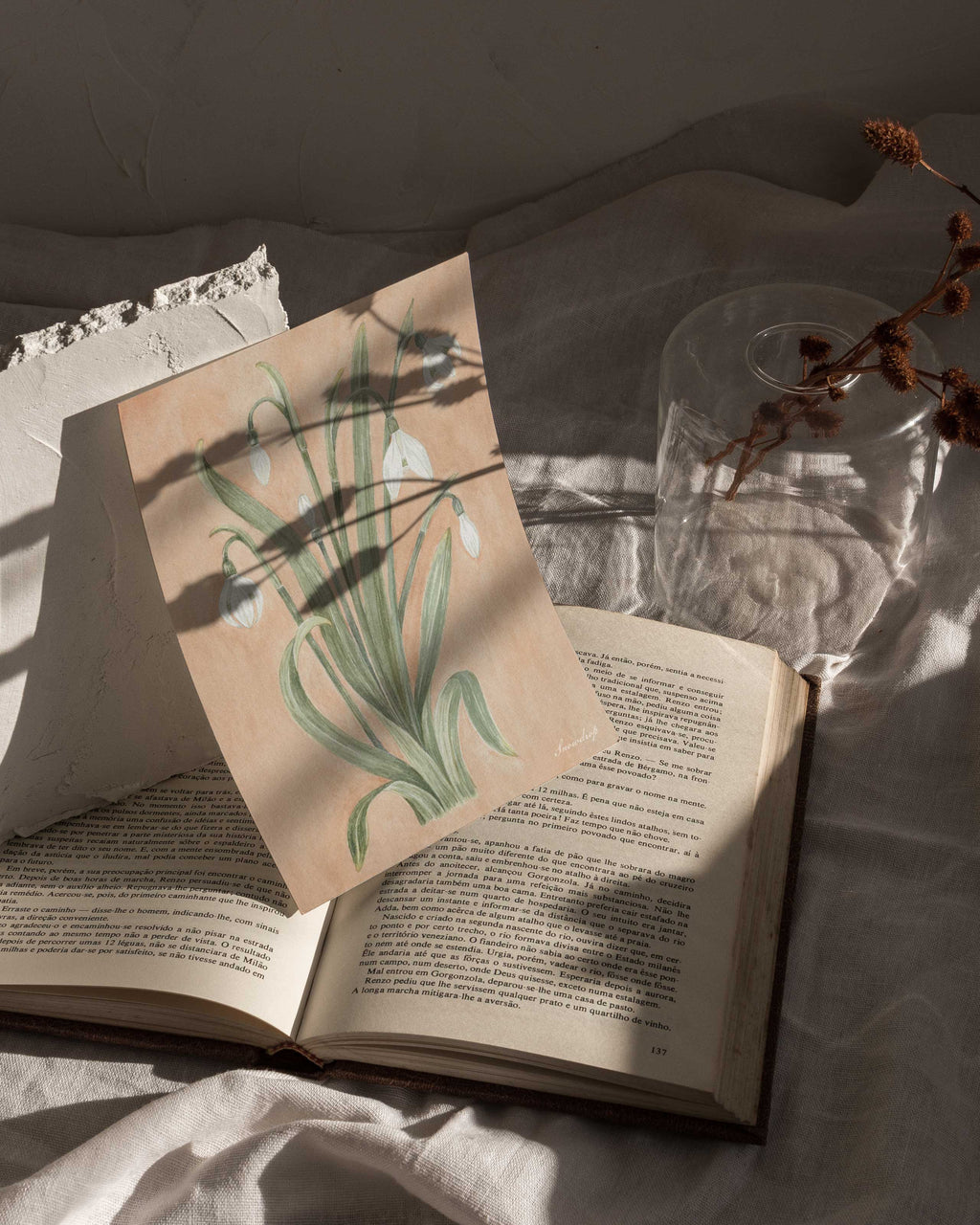 The Snowdrop botanical print resting on the pages of an open vintage book, surrounded by deep shadows and soft natural light. January print from The Conservatory Print Club.