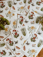 Botanical Sticker Sheet - Riverpine