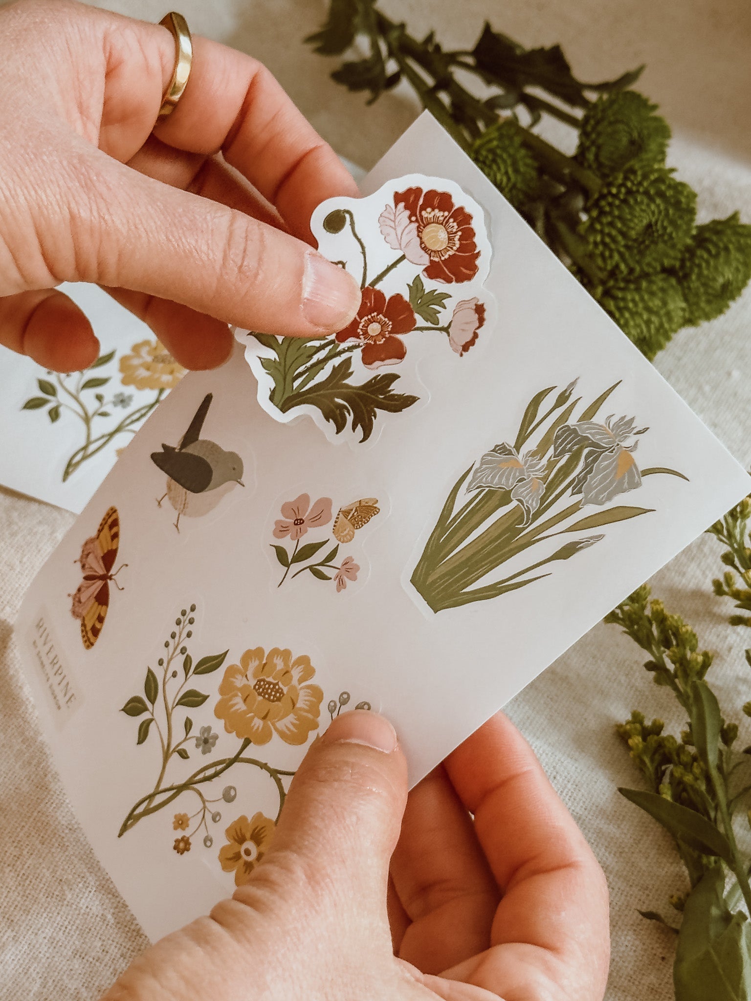 Botanical Sticker Sheet - Riverpine