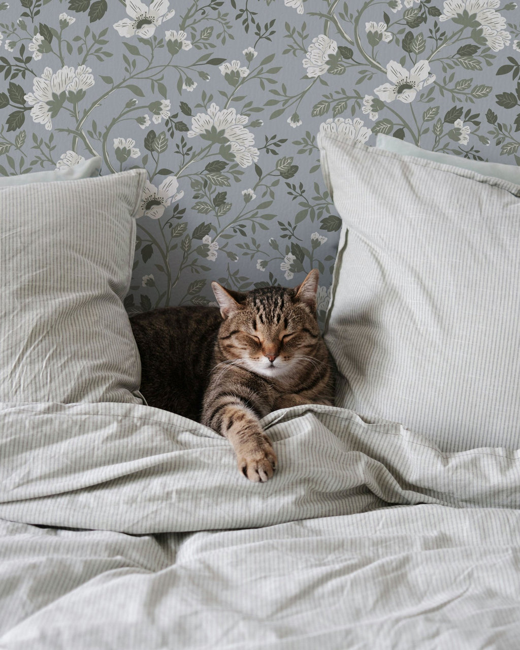 Camellia Study Wallpaper in Boothbay - Riverpine