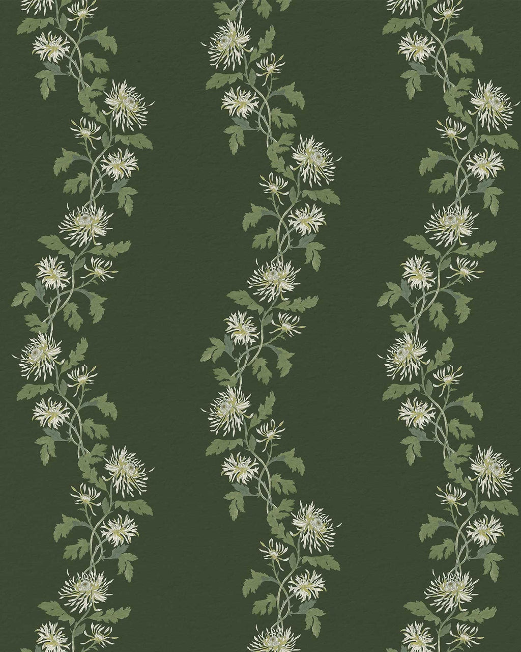 Dark green floral stripe wallpaper with cream botanical vines and chrysanthemum-style blooms in a traditional heritage pattern