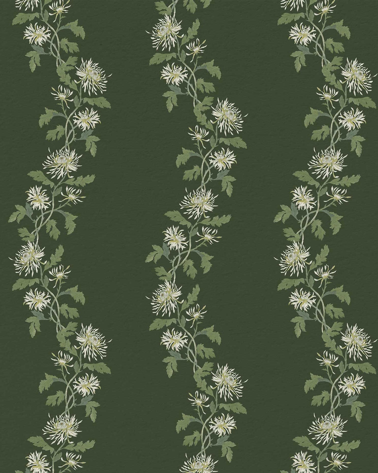 Chrysanthemum Trail in Forest - Riverpine