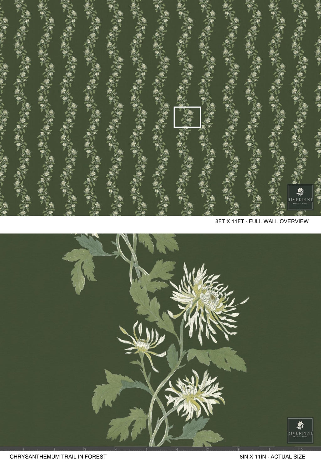 Chrysanthemum Trail in Forest - Riverpine