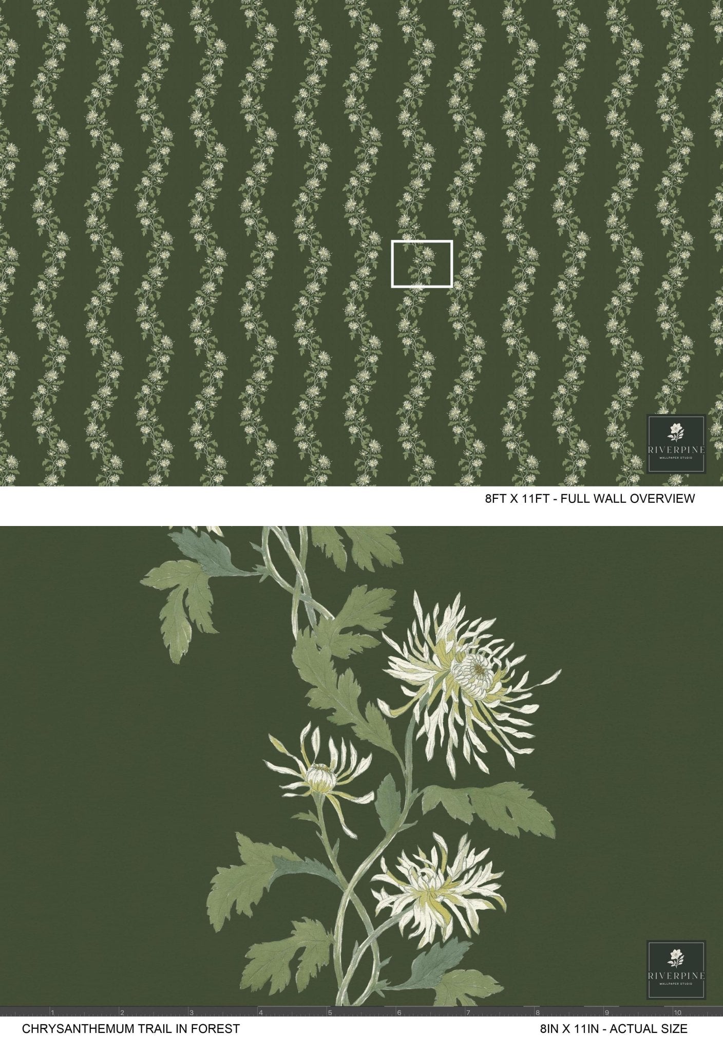 Chrysanthemum Trail in Forest - Riverpine