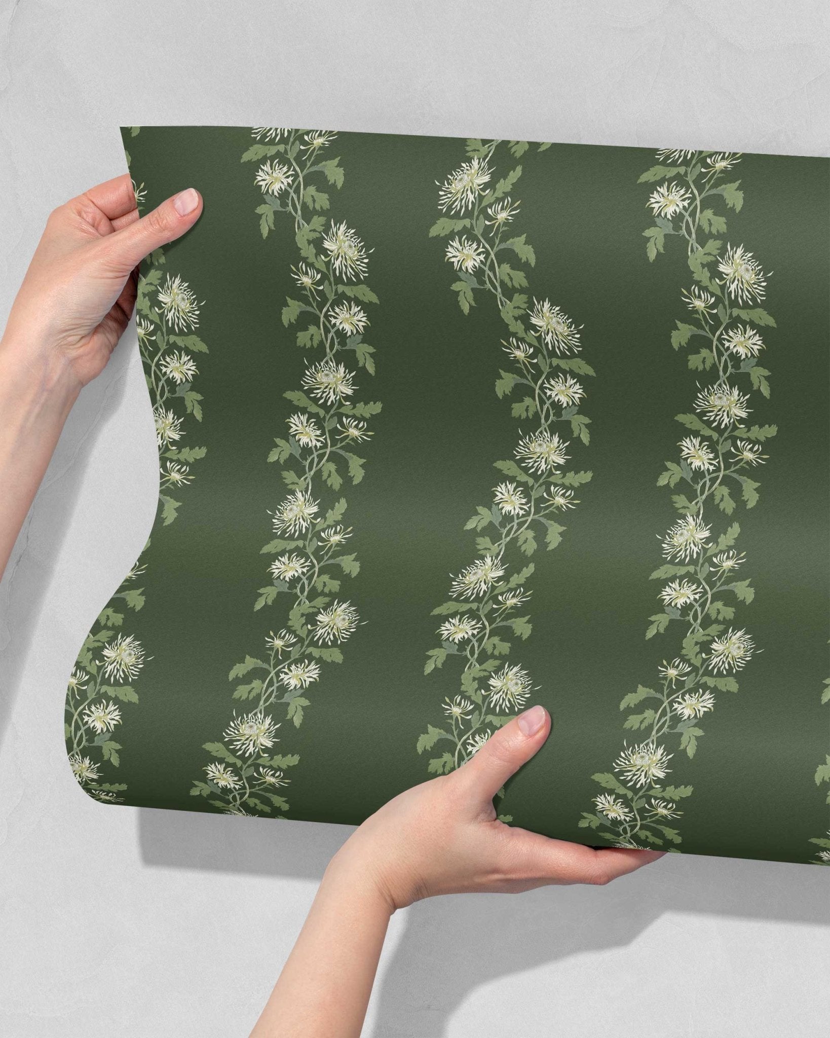 Chrysanthemum Trail in Forest - Riverpine