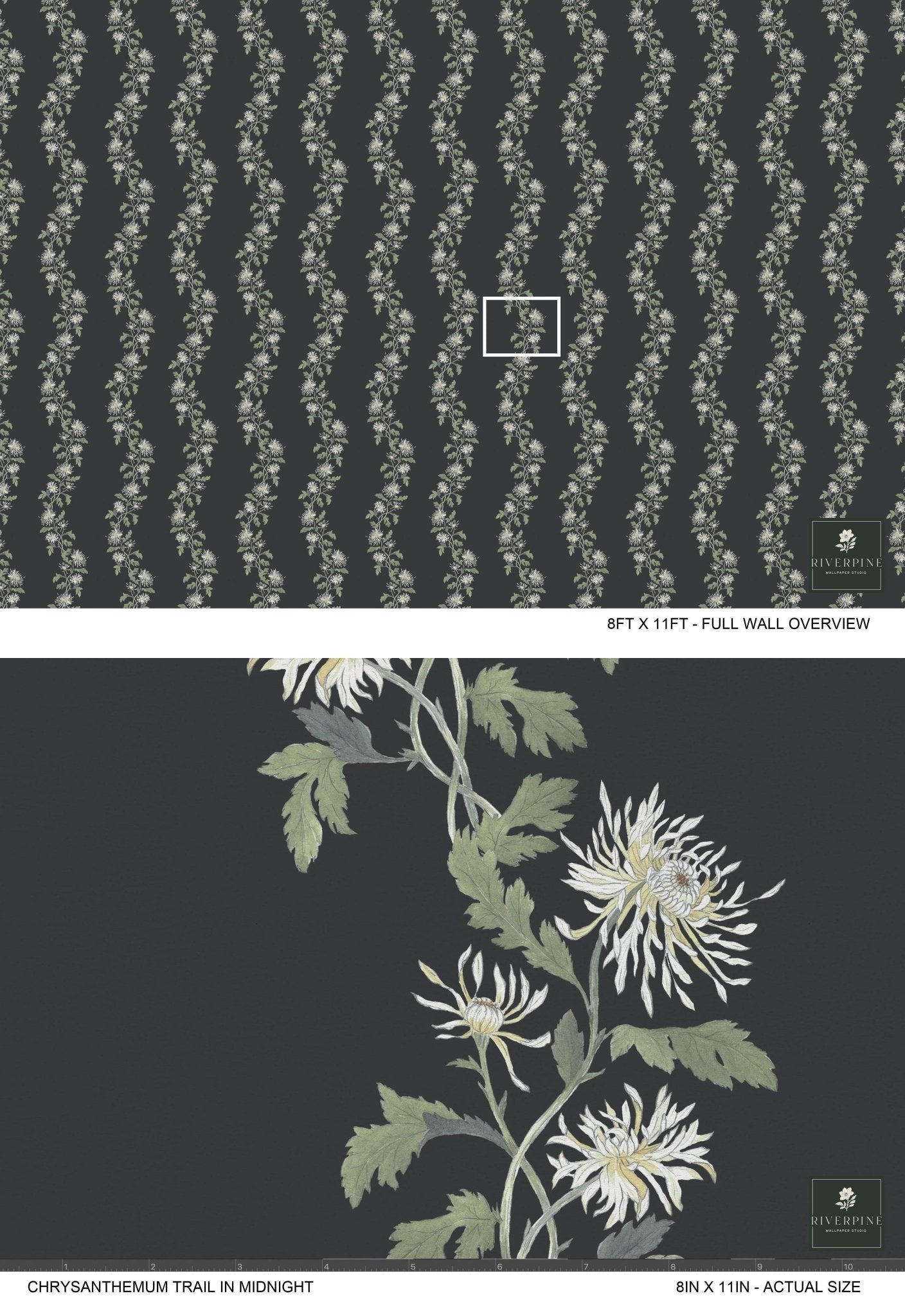 Chrysanthemum Trail in Midnight - Riverpine