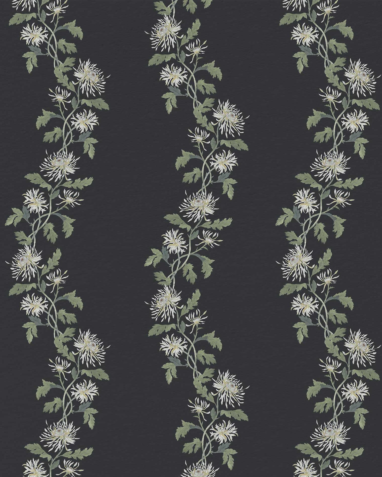 Chrysanthemum Trail in Midnight - Riverpine