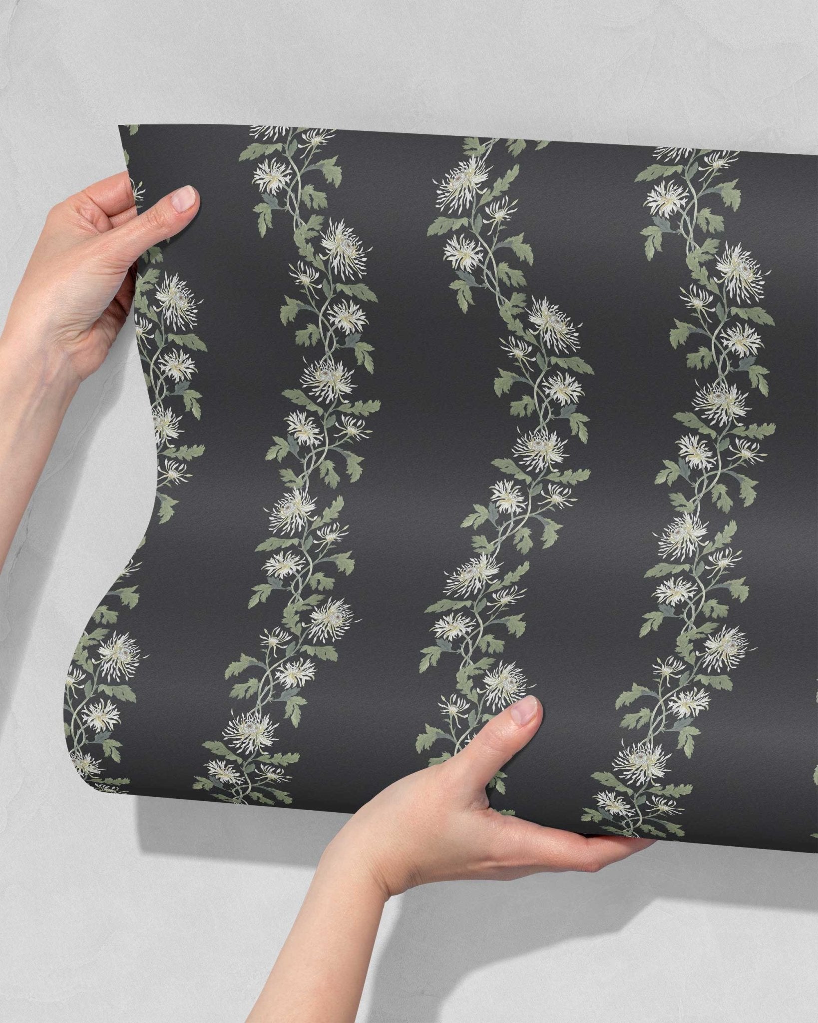 Chrysanthemum Trail in Midnight - Riverpine