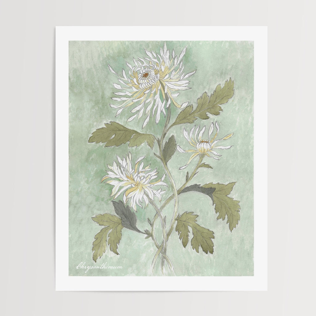 Chrysanthemum Watercolor Art Print - Riverpine