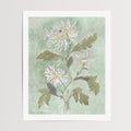 Chrysanthemum Watercolor Art Print - Riverpine
