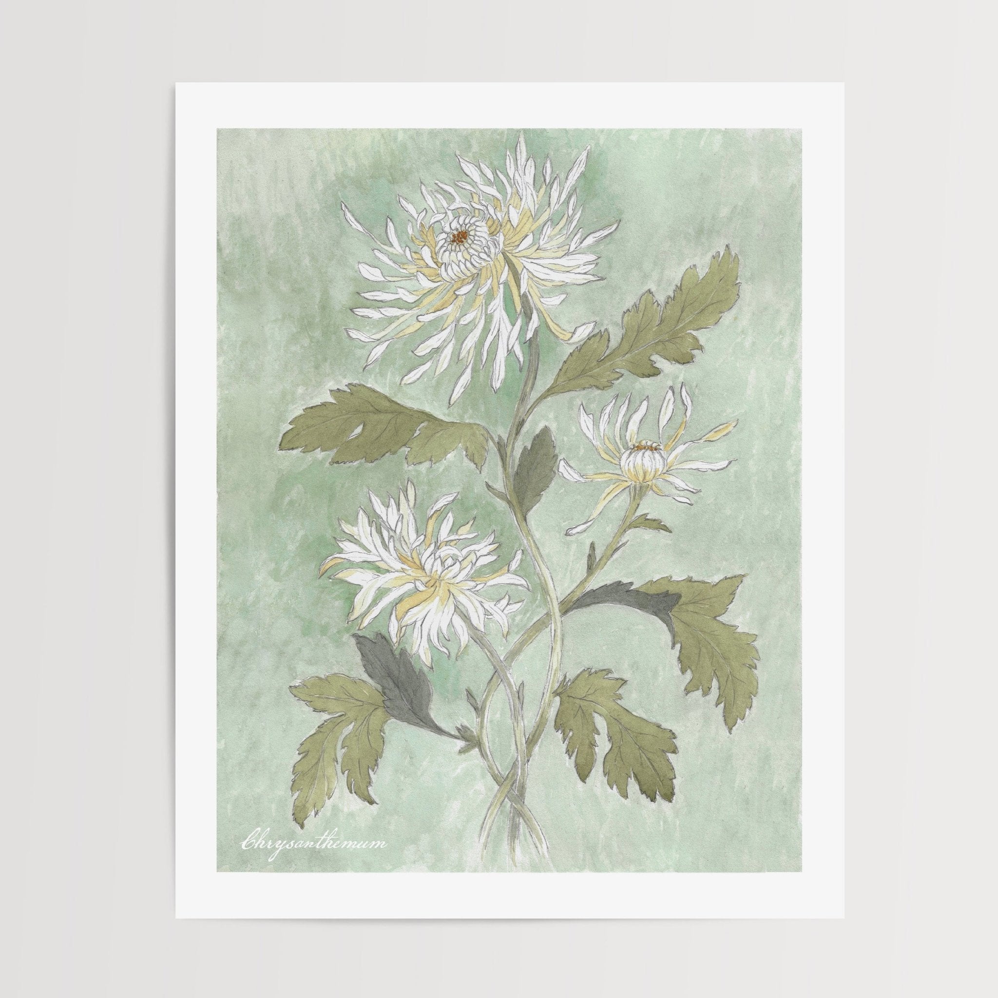 Chrysanthemum Watercolor Art Print - Riverpine
