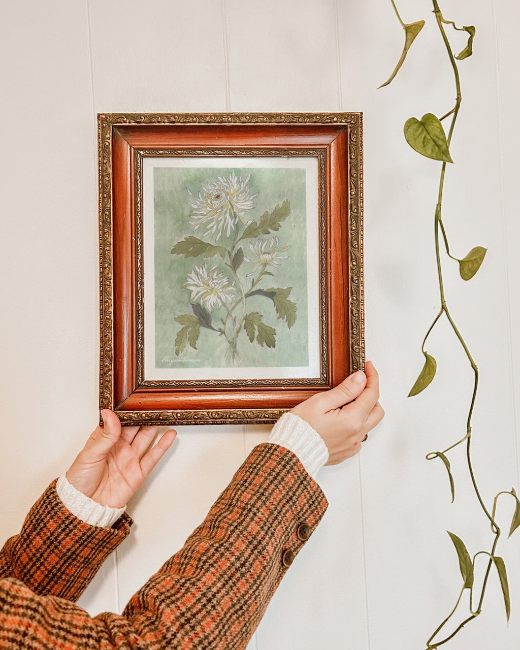 Chrysanthemum Watercolor Art Print - Riverpine