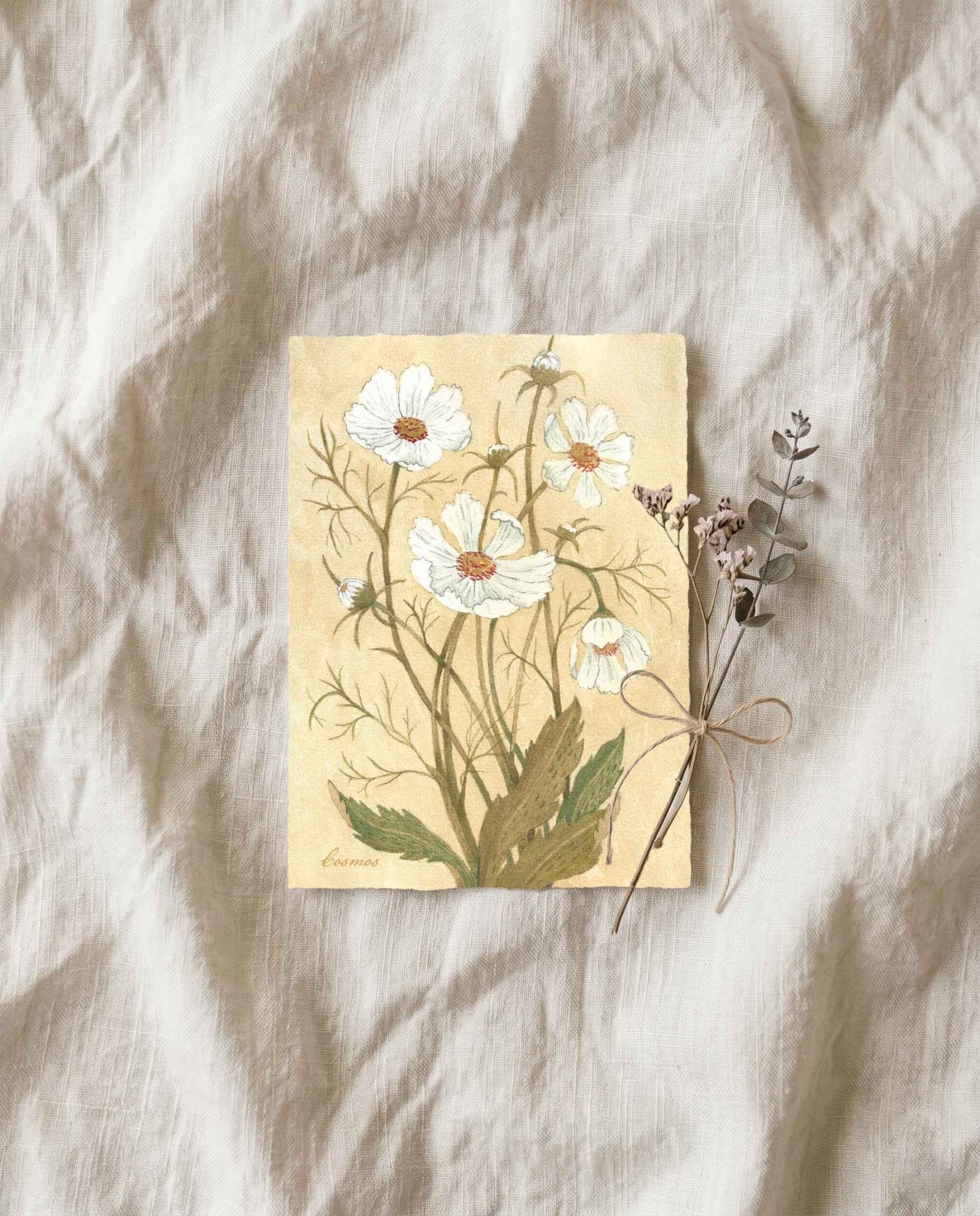 Cosmos Greeting Card - Riverpine