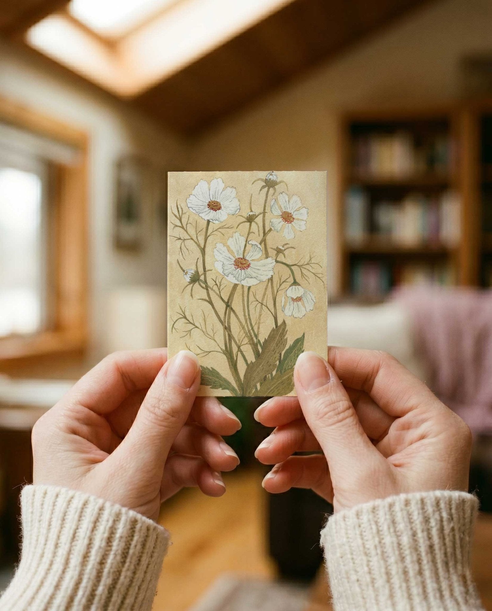 Cosmos Greeting Card - Riverpine