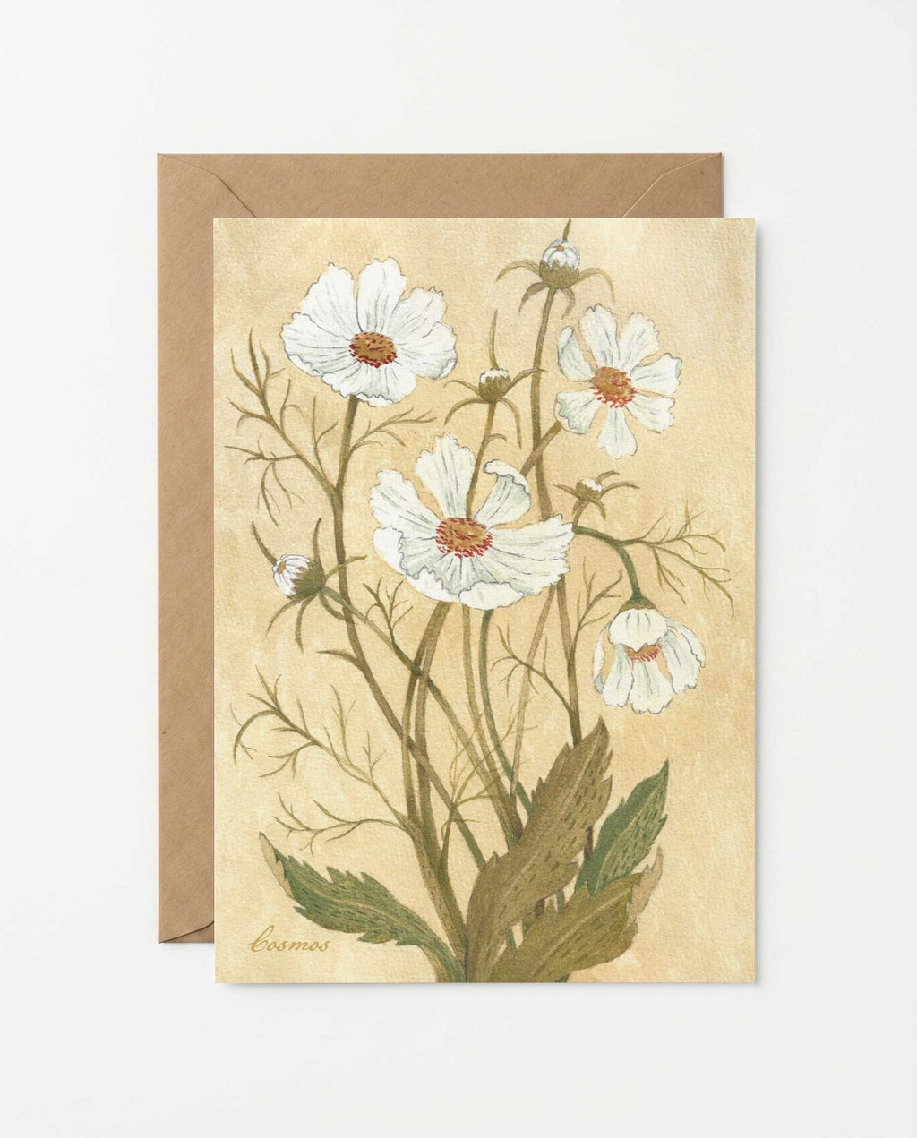 Cosmos Greeting Card - Riverpine