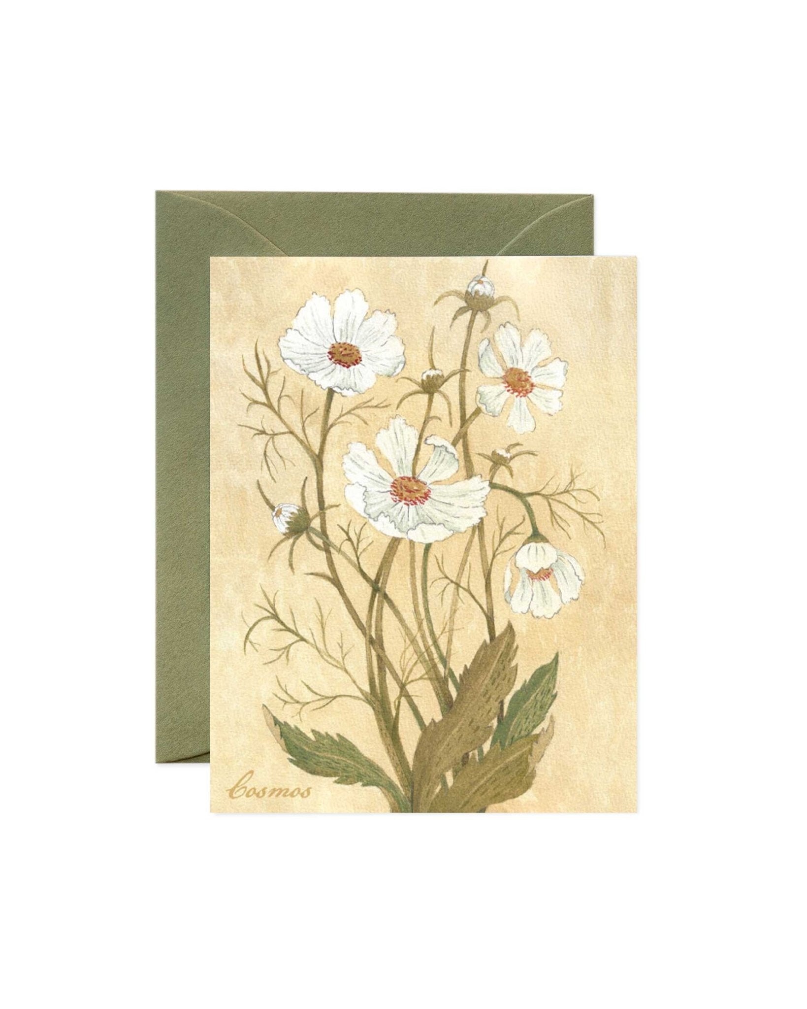 Cosmos Greeting Card - Riverpine