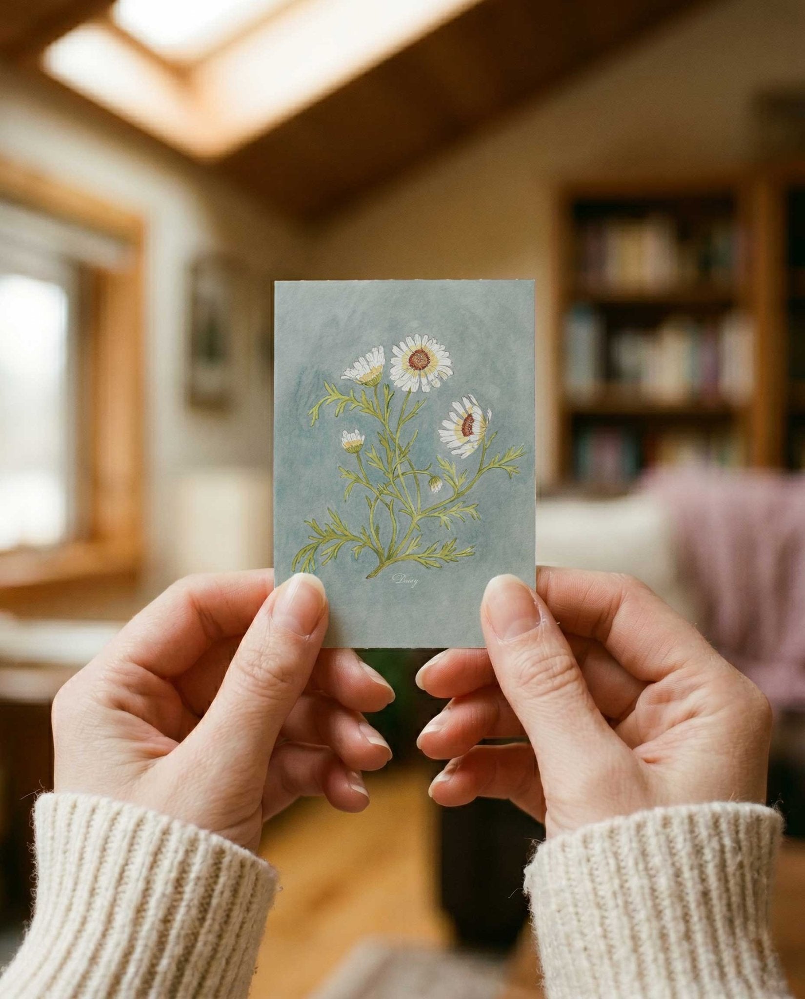 Daisy Study Art Postcard - Riverpine
