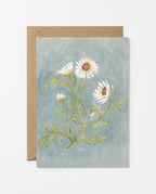 Daisy Study Art Postcard - Riverpine