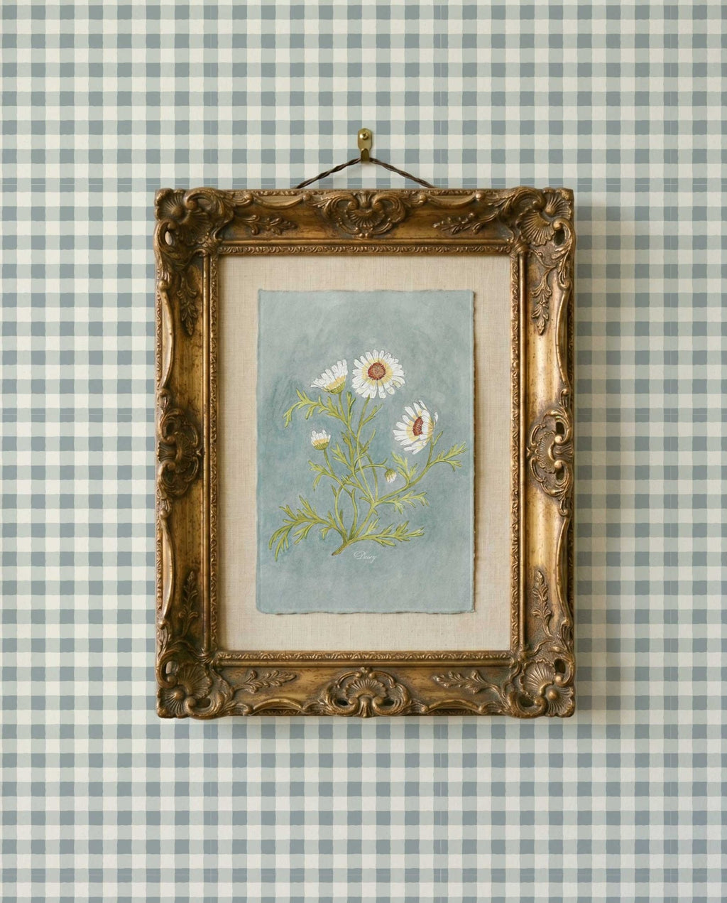 Daisy Study Watercolor Art Print - 5x7 - Riverpine