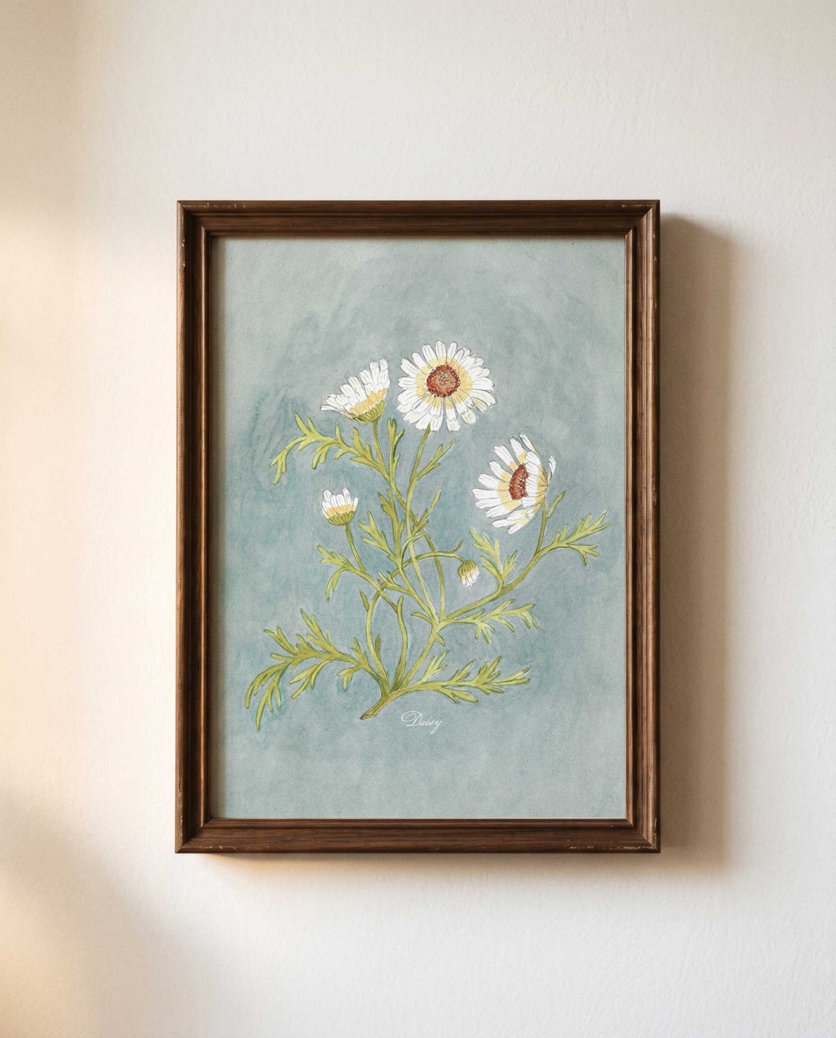 Daisy Study Watercolor Art Print - 5x7 - Riverpine