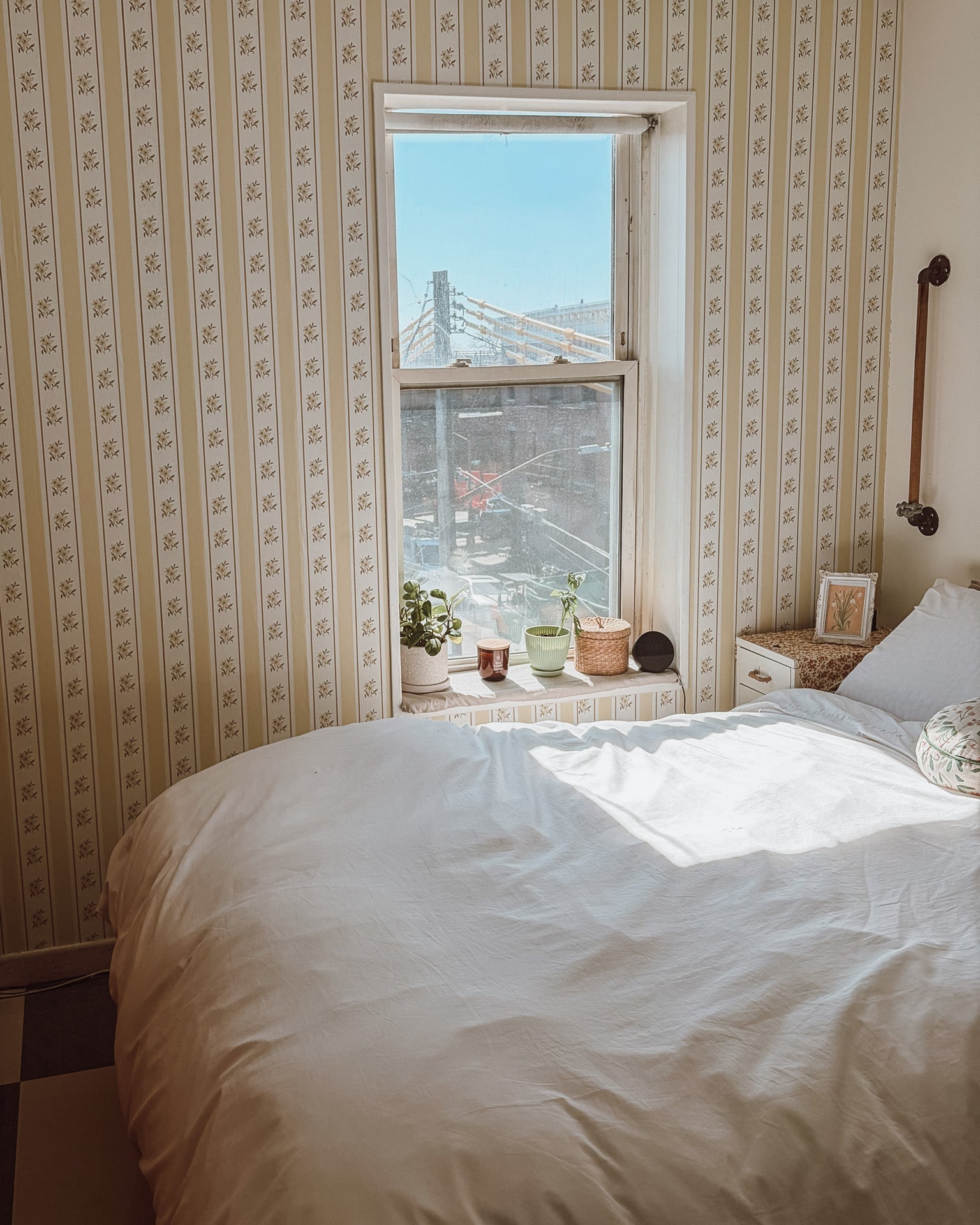 Glasshouse Stripe in Honey Cream - Riverpine