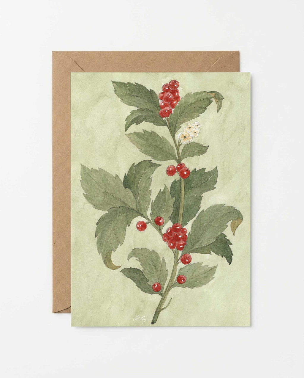 Holly Greeting Card - Riverpine