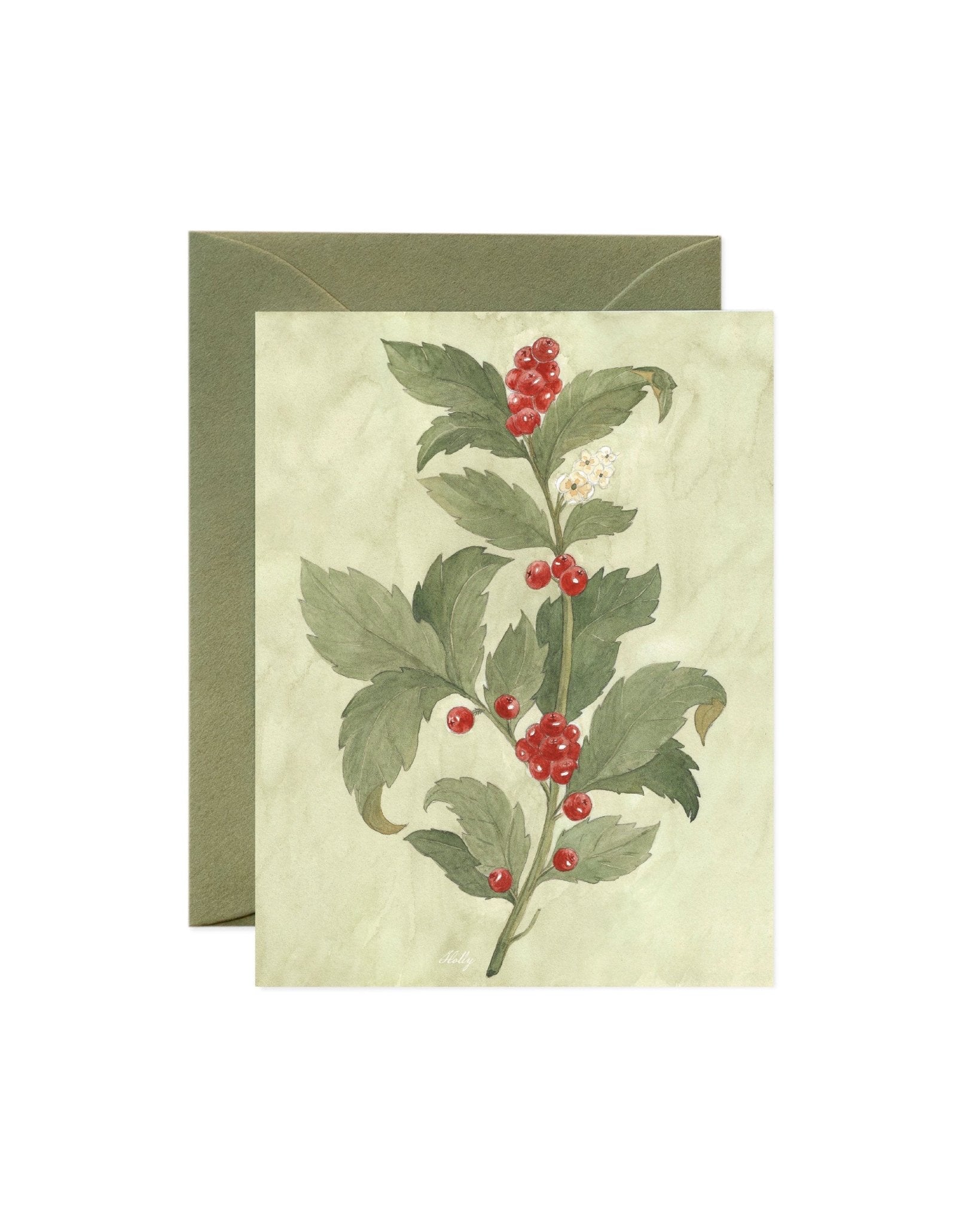 Holly Greeting Card - Riverpine
