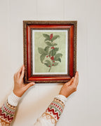Holly Watercolor Art Print - Riverpine