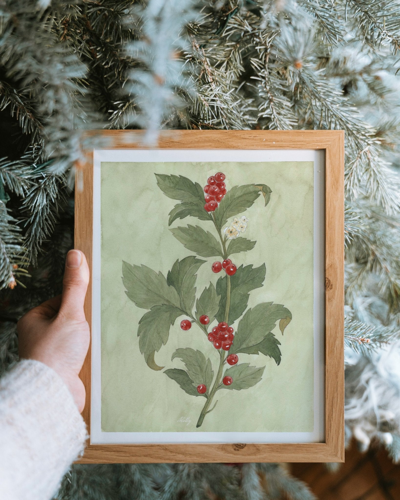 Holly Watercolor Art Print - Riverpine