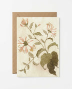 Honeysuckle Study Art Postcard - Riverpine
