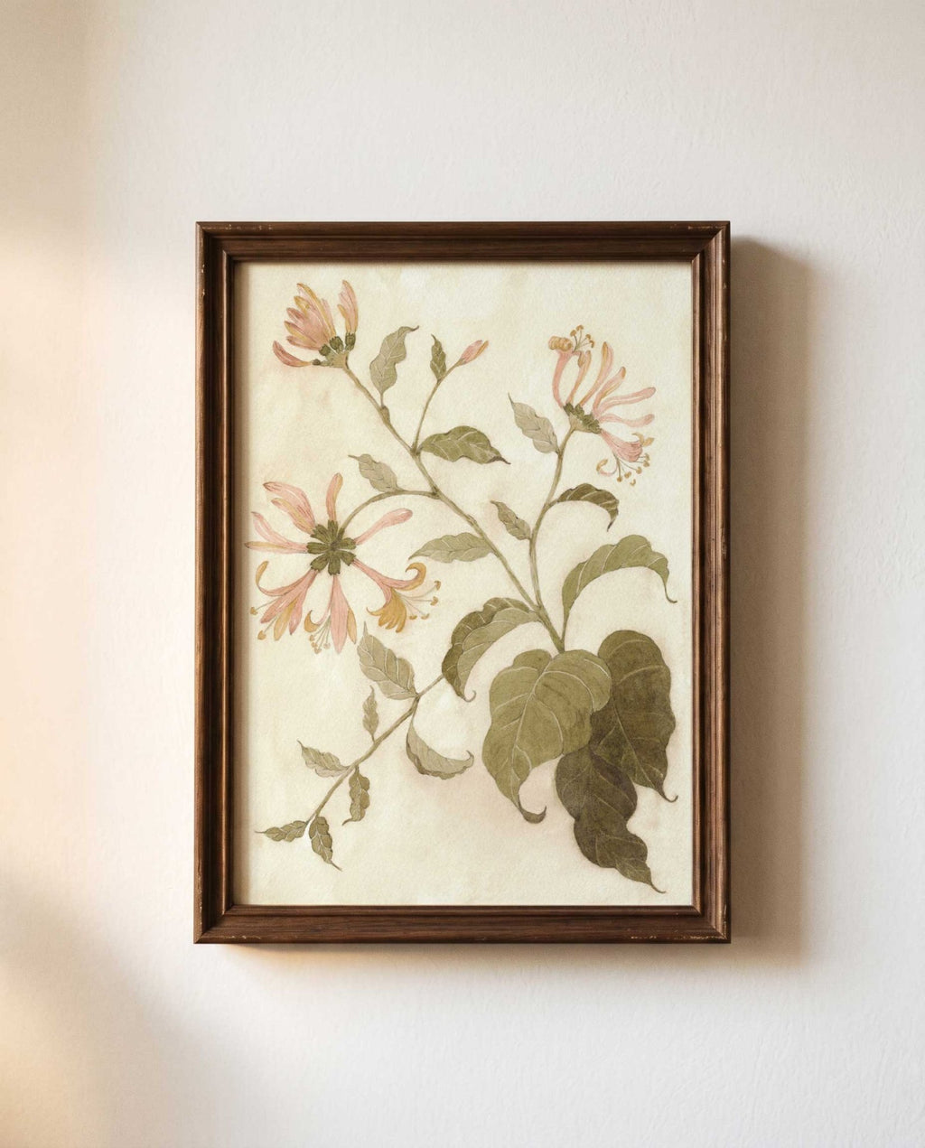 Honeysuckle Study Watercolor Art Print - 5x7 - Riverpine